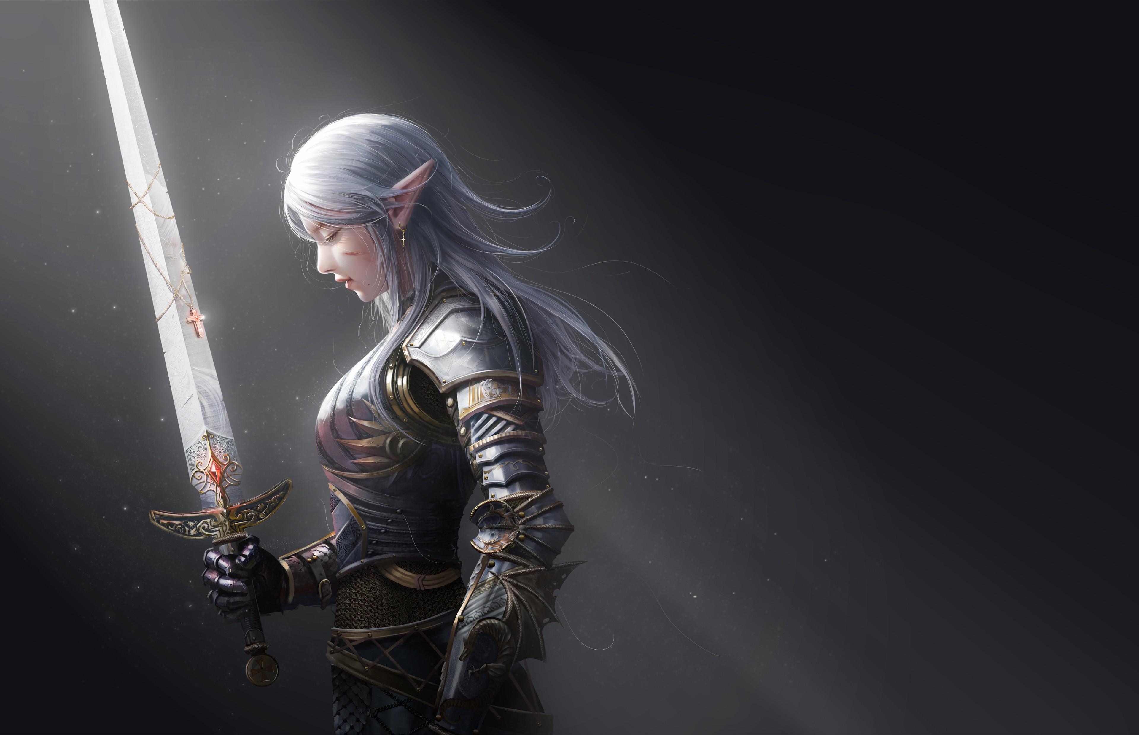 3840x2478 Elf Warrior Wallpaper, HD Fantasy 4K Wallpaper, Image, Photo and Background