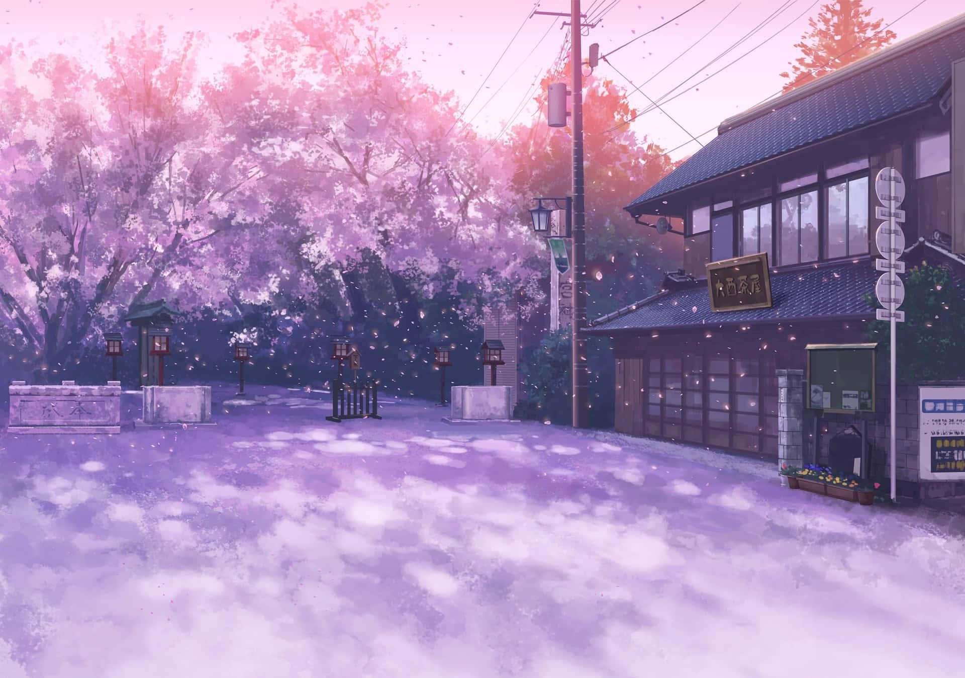 1920x1348 