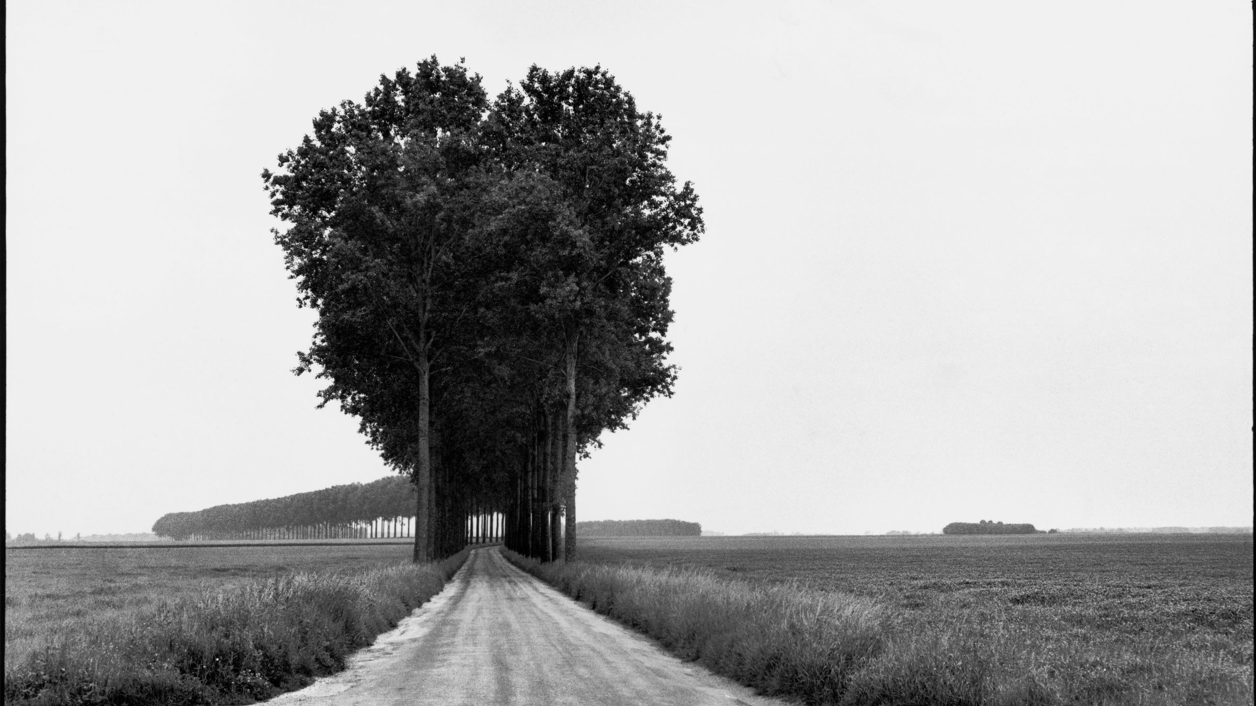 2560x1440 Paris's Newest Major Museum Is Dedicated To Henri Cartier Bresson