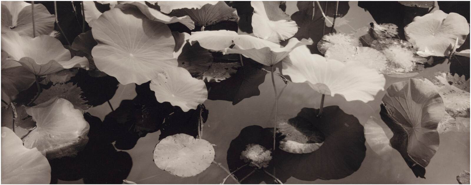 1600x631 Henri_Cartier Bresson