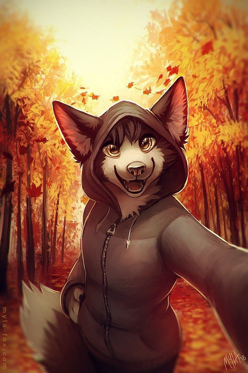 800x1201 Furry art, cute, furry fandom, HD phone wallpaper