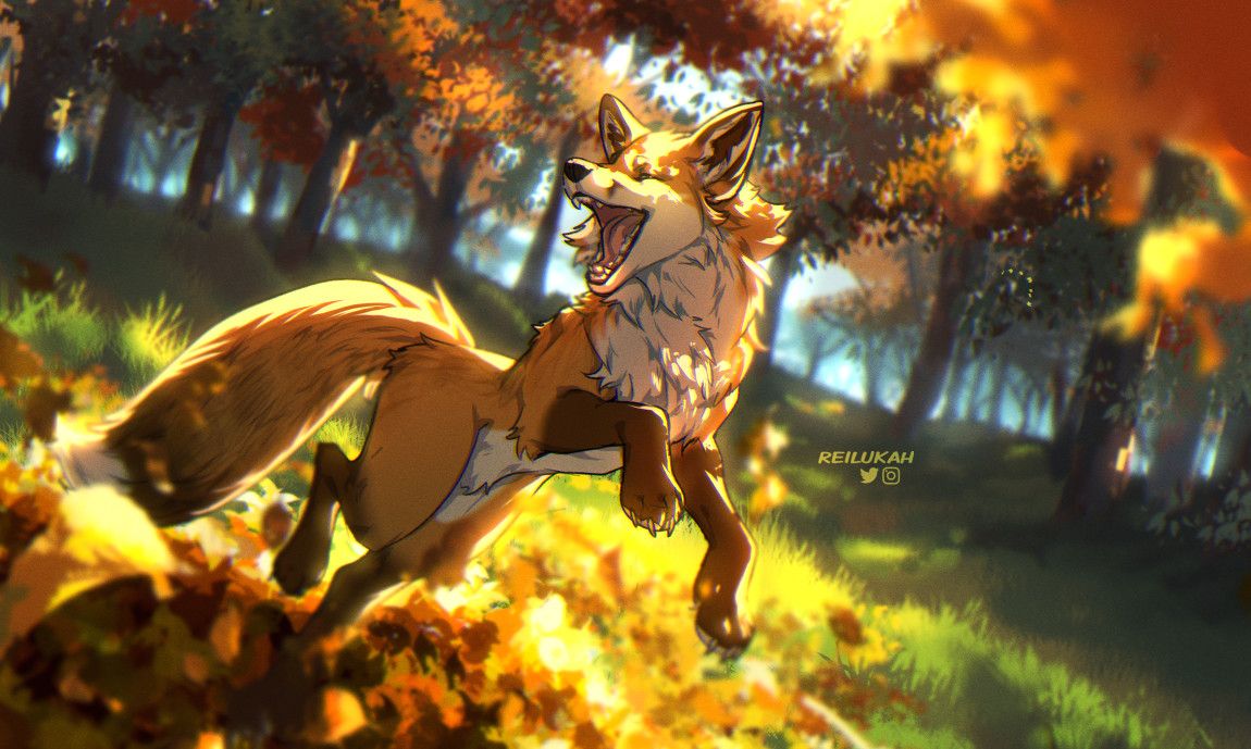 1150x689 Jasper Fox :therian:: You know what they say, when l