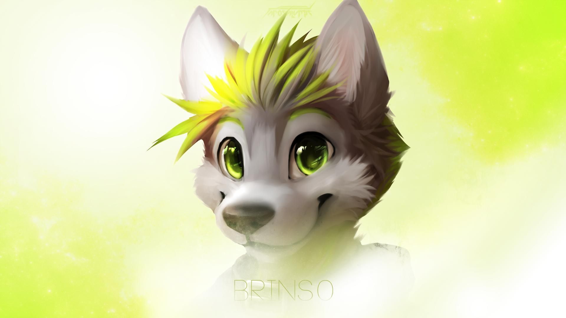 1920x1080 Furry HD Wallpaper