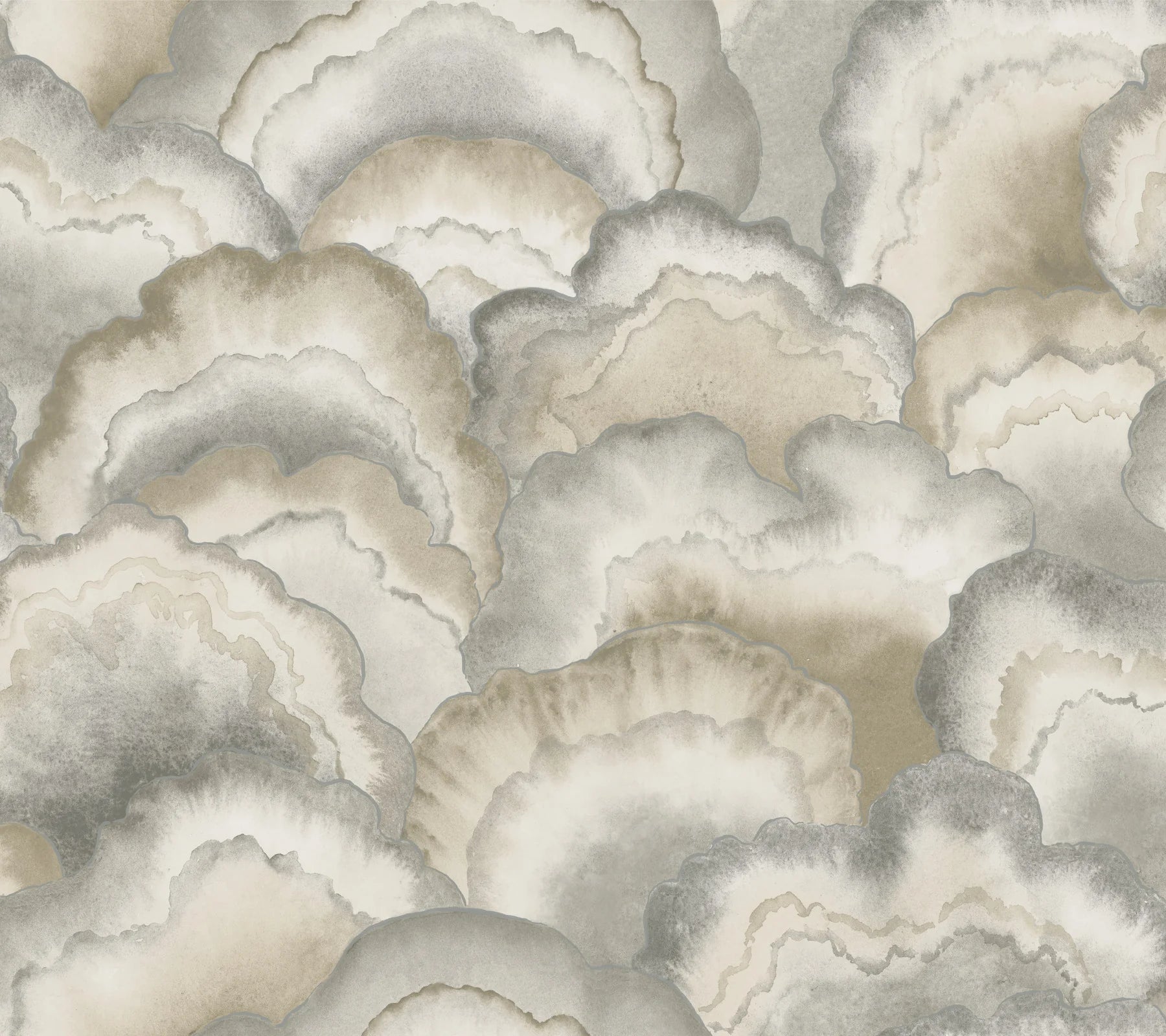 1800x1600 NT6183 Abalone Fans Smokey Wallpaper