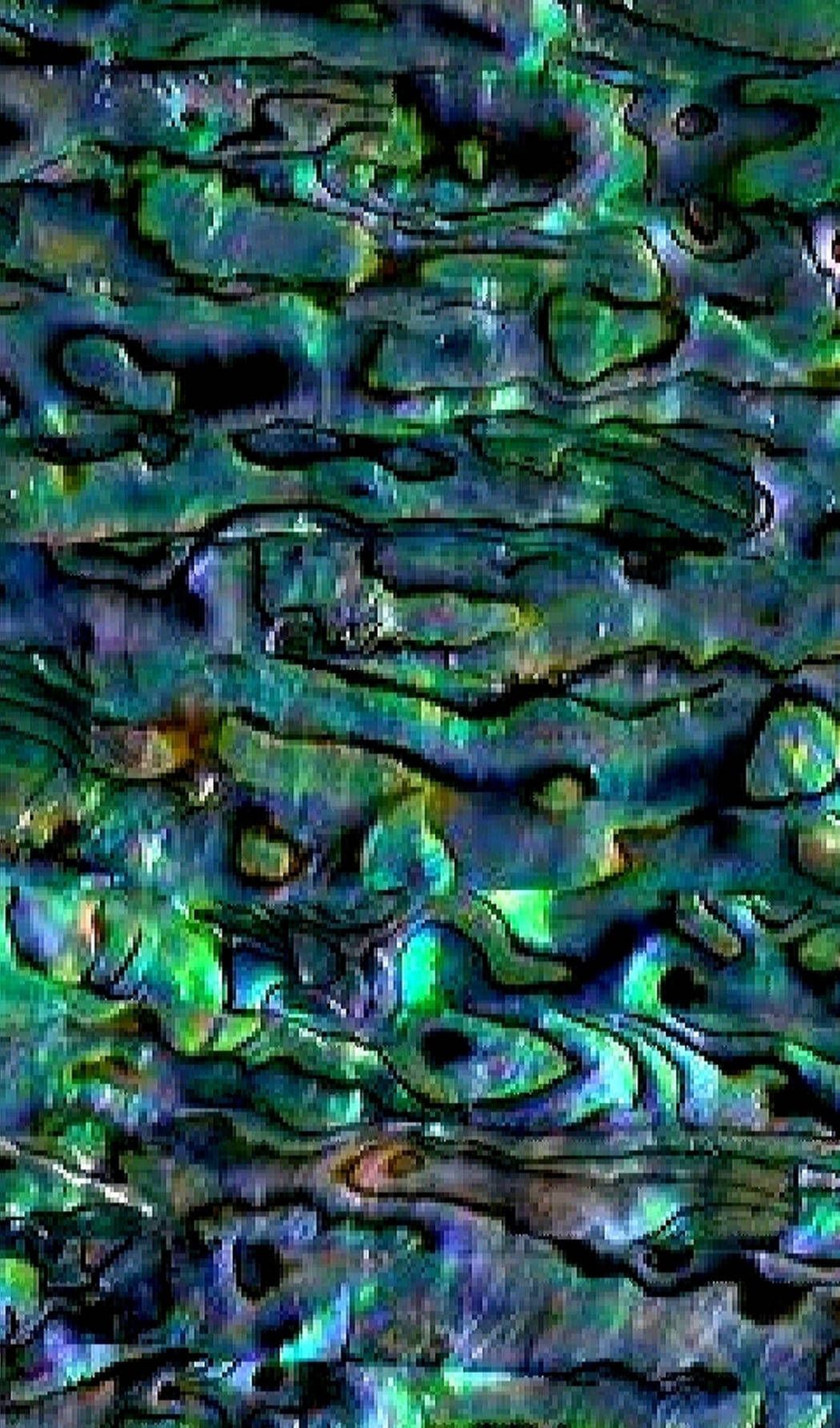 1049x1783 Abalone Wallpaper