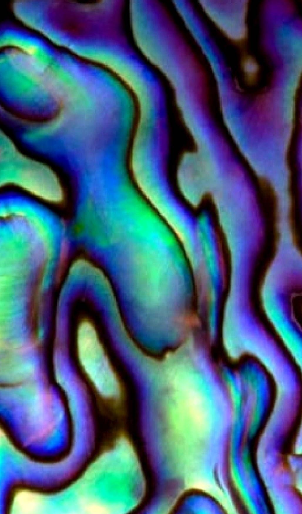 1028x1746 Download Radiant Abalone Shell Pattern Wallpaper