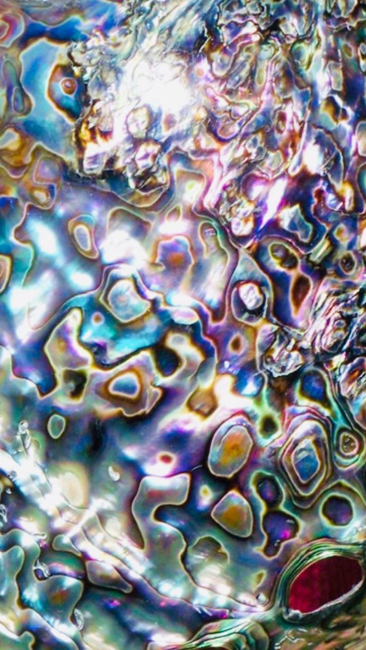 736x1307 Ethereal Art: Patterns in Nature. Paua shell wallpaper, Abalone background, Iridescent texture aesthetic