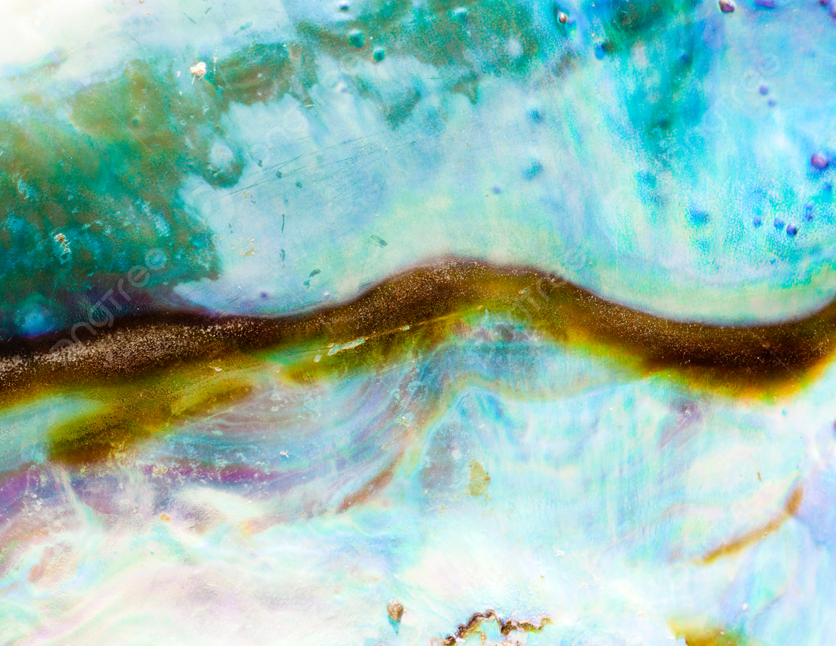 1200x927 Background Of Abalone Or Paua Shell With A Lustrous Nacre Photo, Pattern, Nacre, Rare Background Image And Wallpaper for Free Download