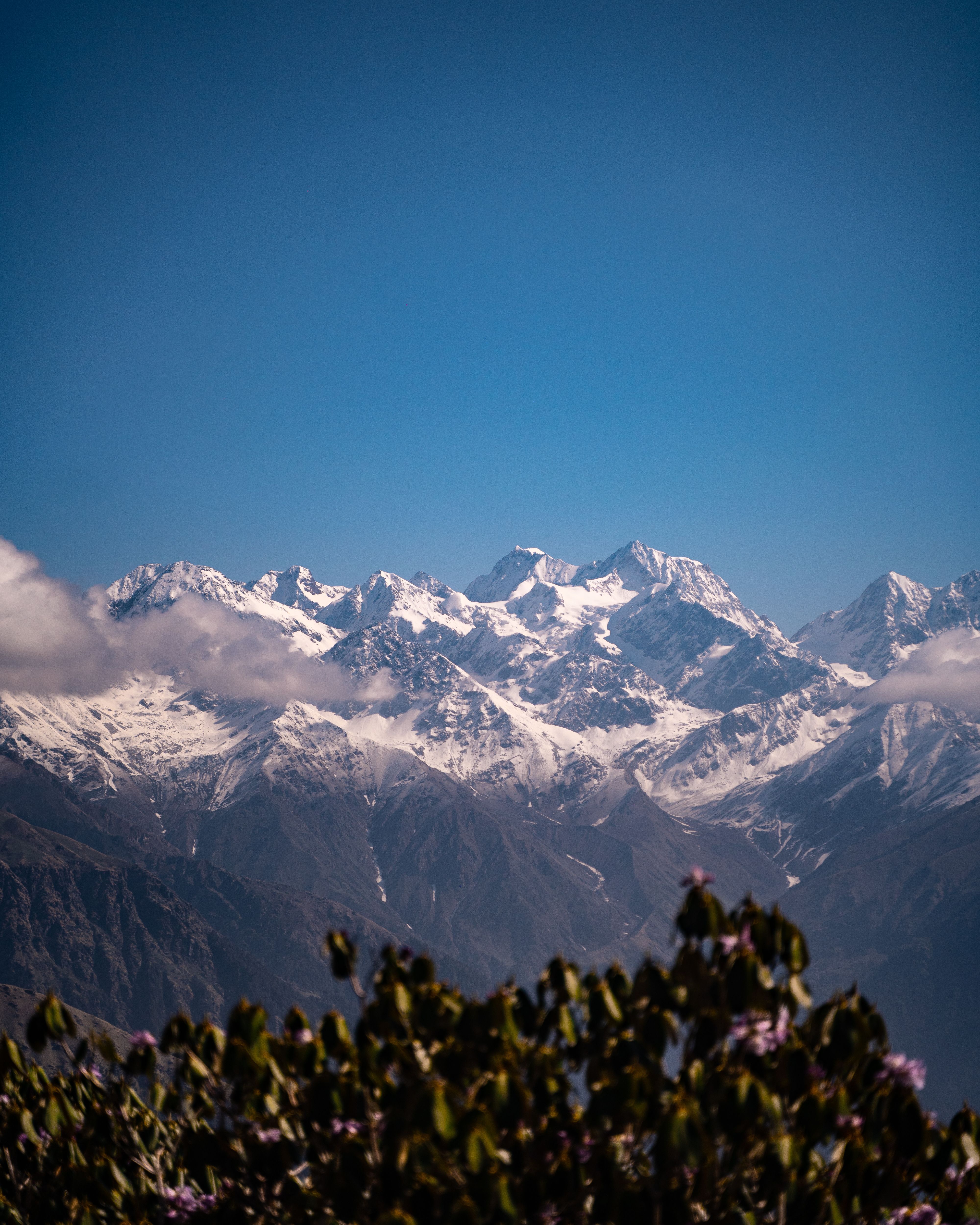 4000x5000 Rudranath Trek Photo, Download The BEST Free Rudranath Trek & HD Image
