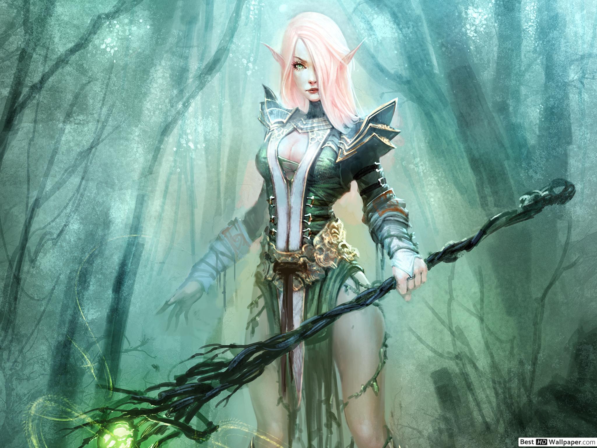 2048x1536 Elf Warrior Woman HD wallpaper download