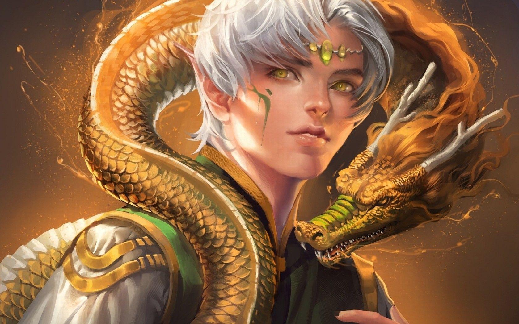 1680x1050 dragons, fantasy art, elves, artwork, anime, white hair wallpaper