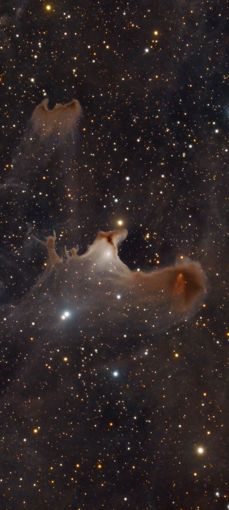 736x1635 Sh2 136 The Ghost Nebula By Anthony Quintile Cropped Mobile Wallpaper 1080x2400