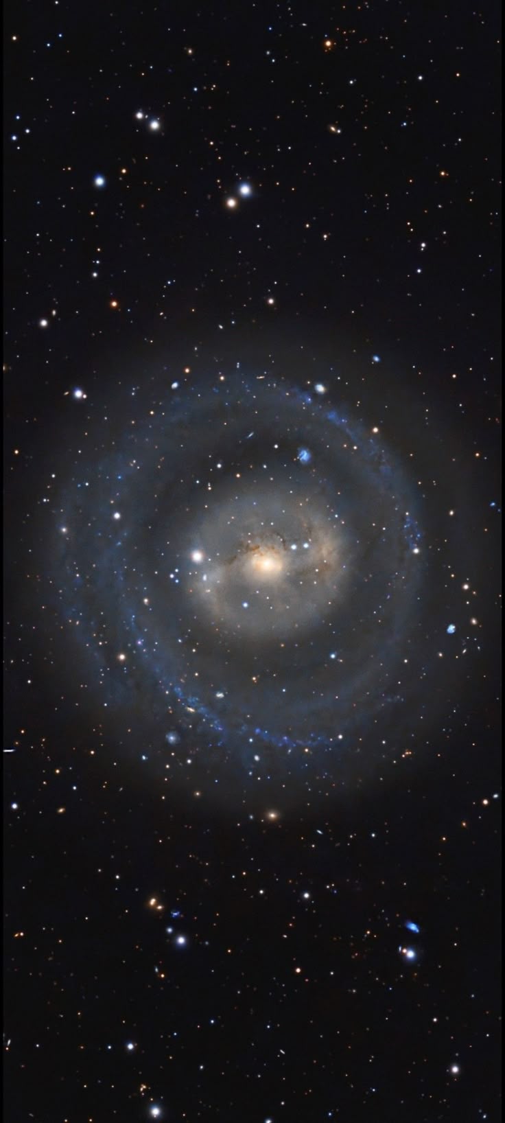 736x1636 NGC 1291 The Ghost Galaxy By: Roger Gifkins Cropped Rotated Close Up Mobile Wallpaper 1080x2400