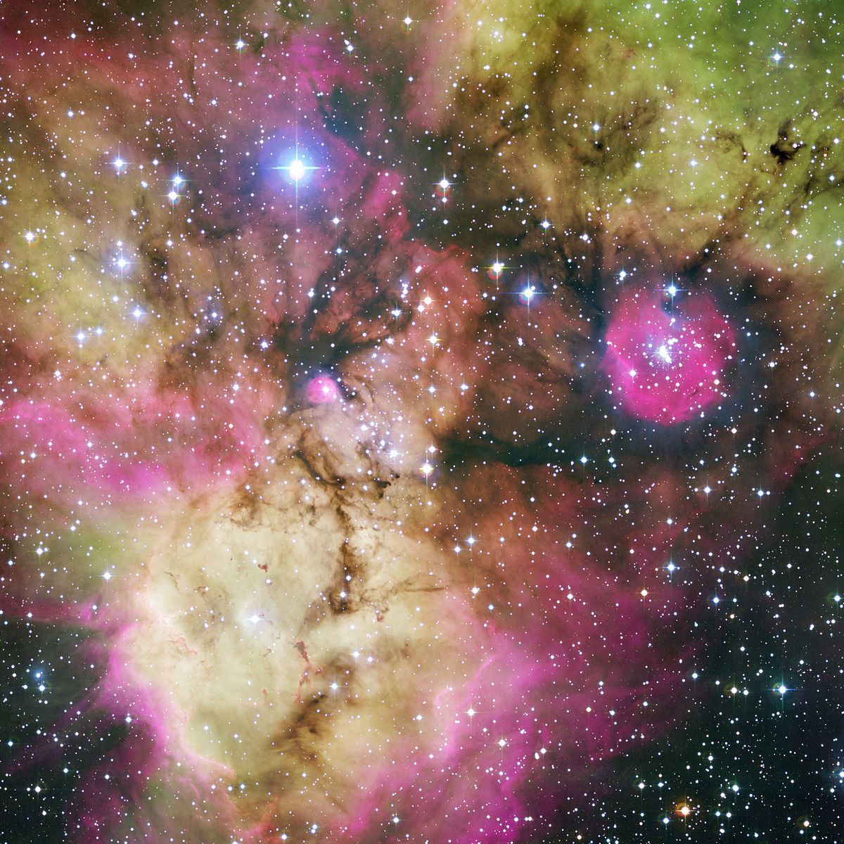1200x1200 NGC 2467 and Surroundings Space Wallpaper