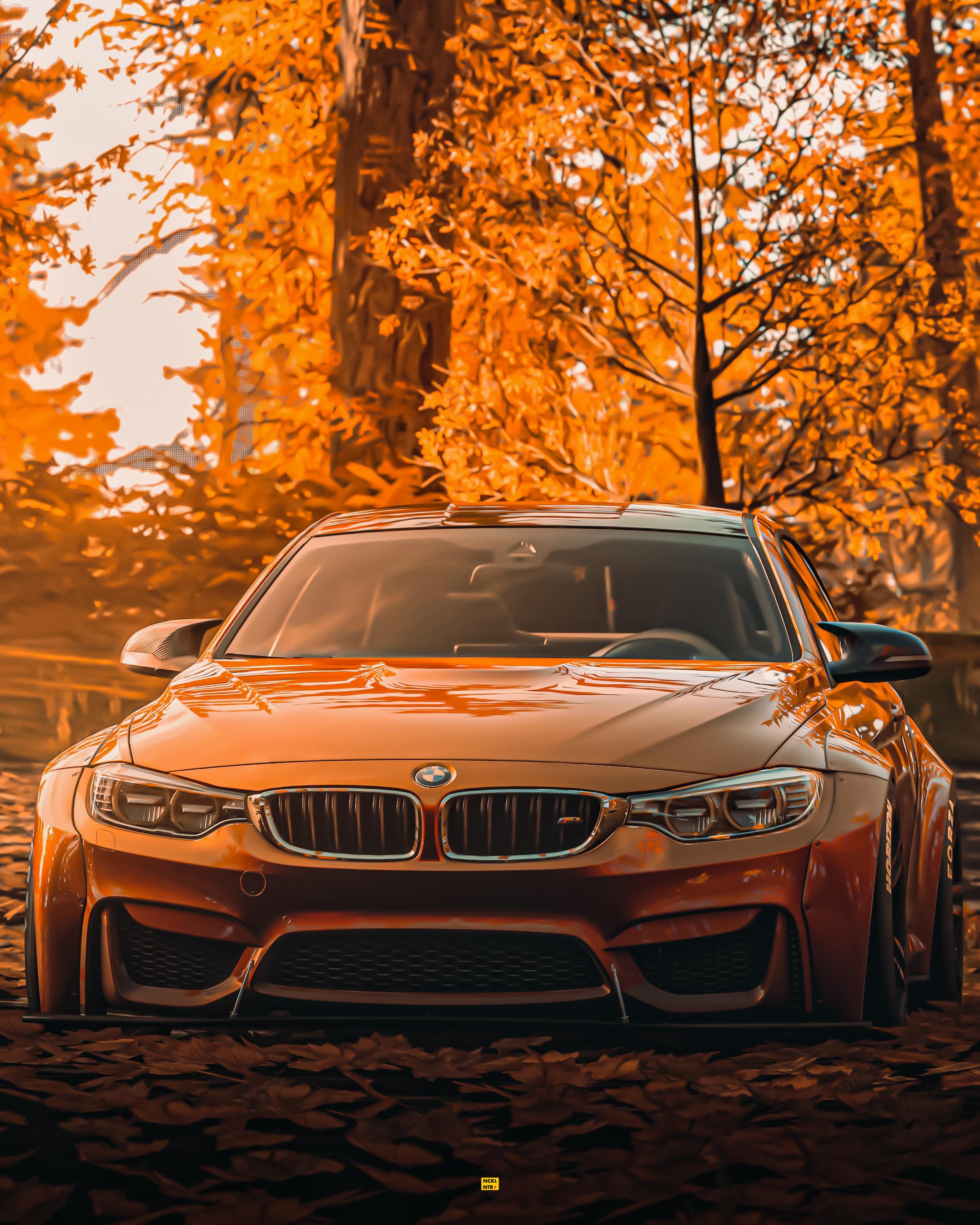 2155x2694 Sun Soaked Shimmery BMW M4 [Forza Horizon 4]
