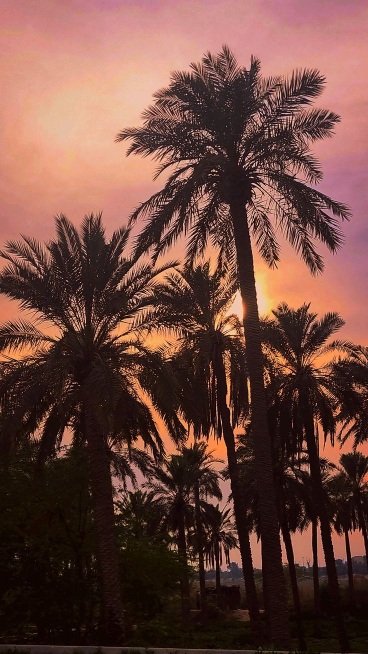 736x1308 beautiful Iran