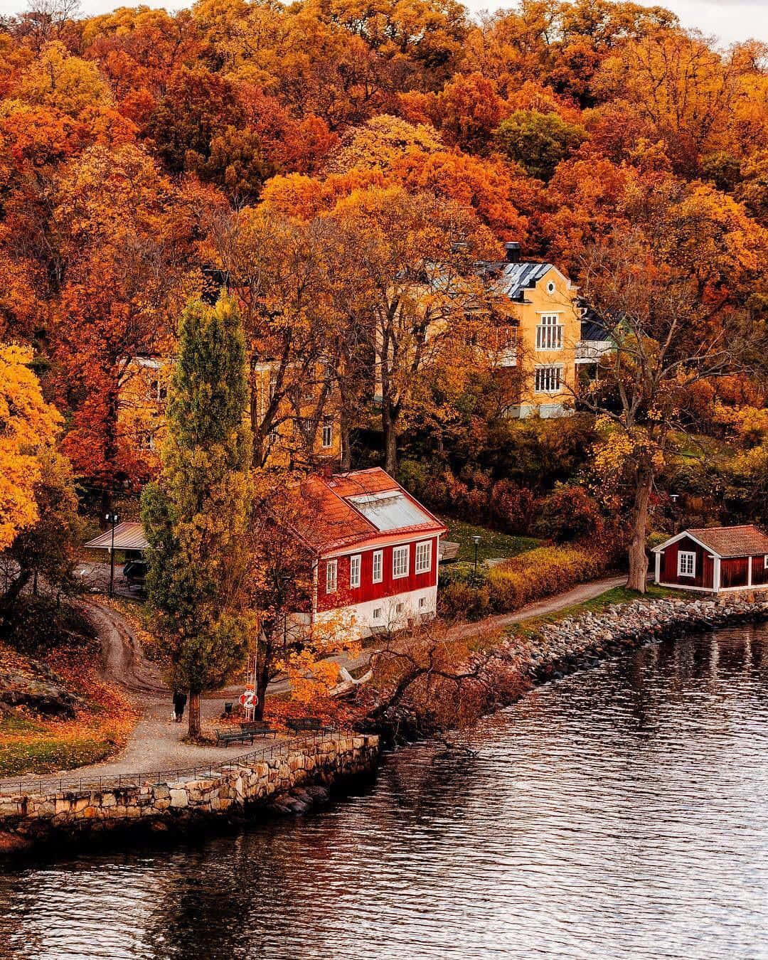 1080x1350 Fall Town Wallpaper