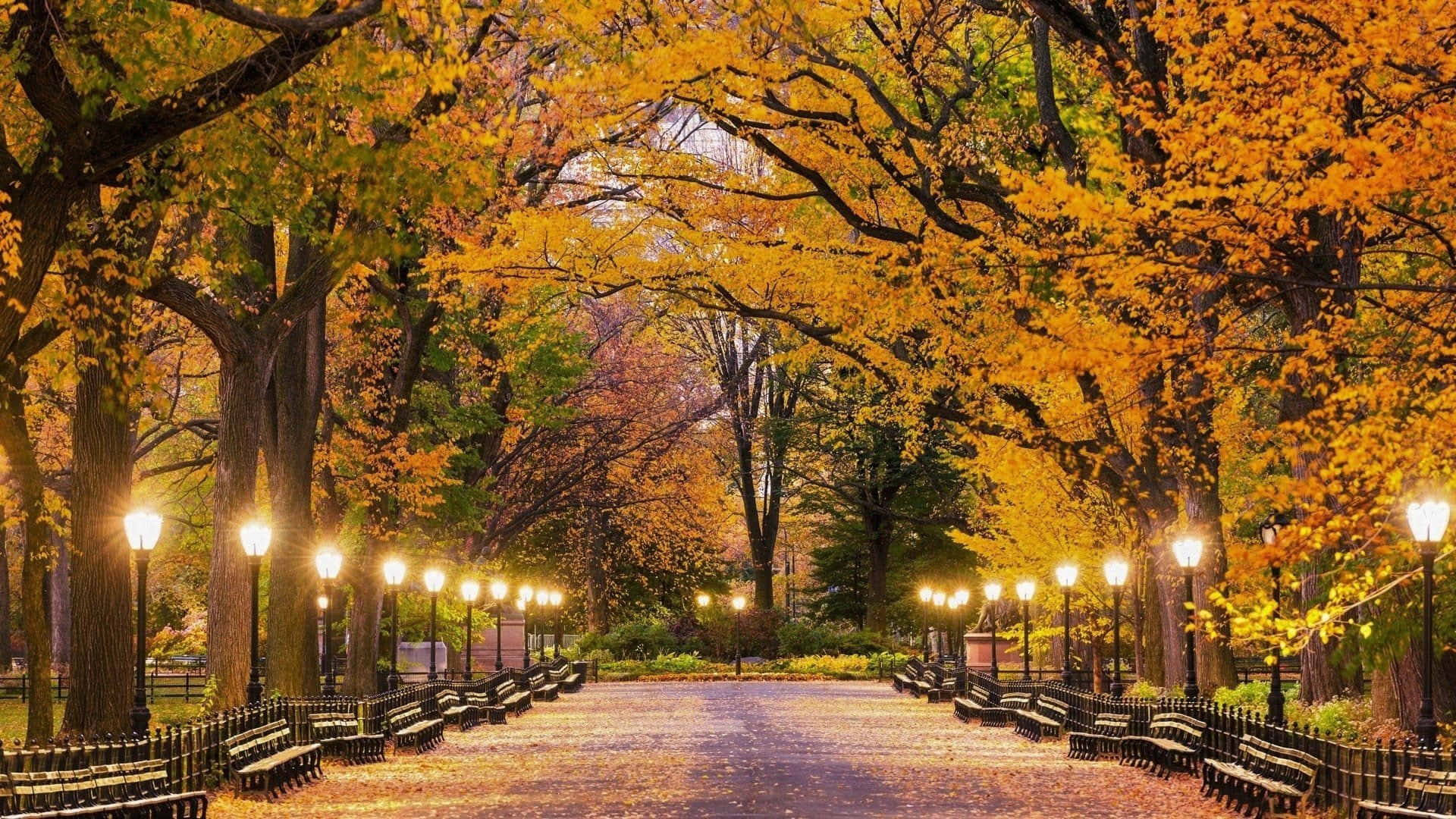 1920x1080 Download Fall Town's Vibrant Autumn Scenery Wallpaper