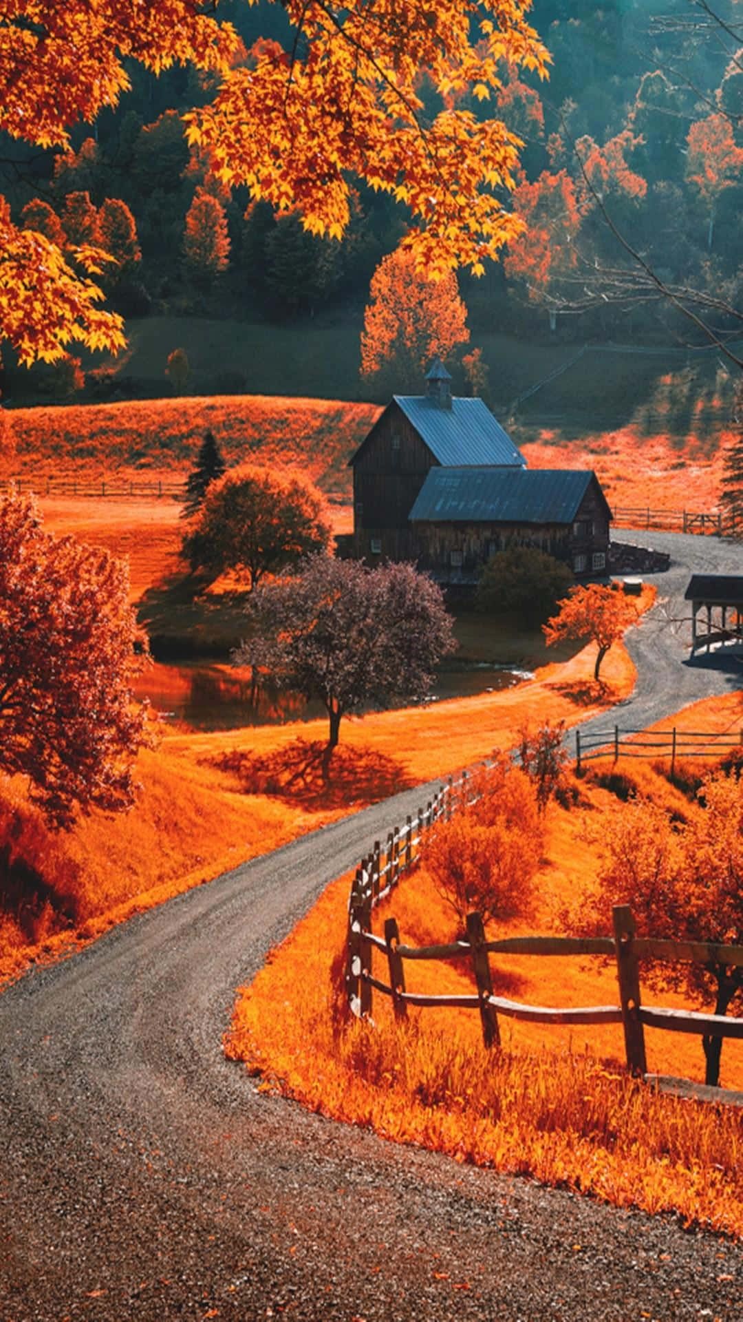 1080x1920 Download Fall Town's vibrant autumn foliage Wallpaper