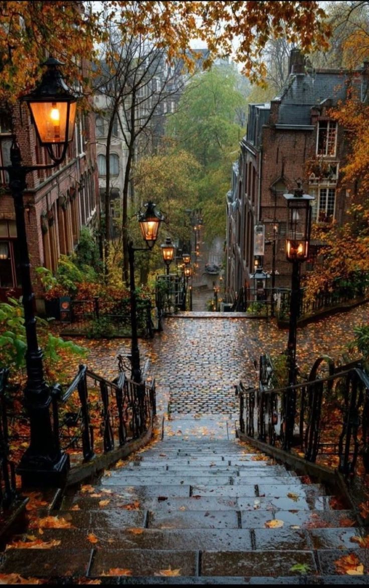 736x1170 Fall aesthetic picture. Autumn town wallpaper, Have inspiration, Autumn scenery
