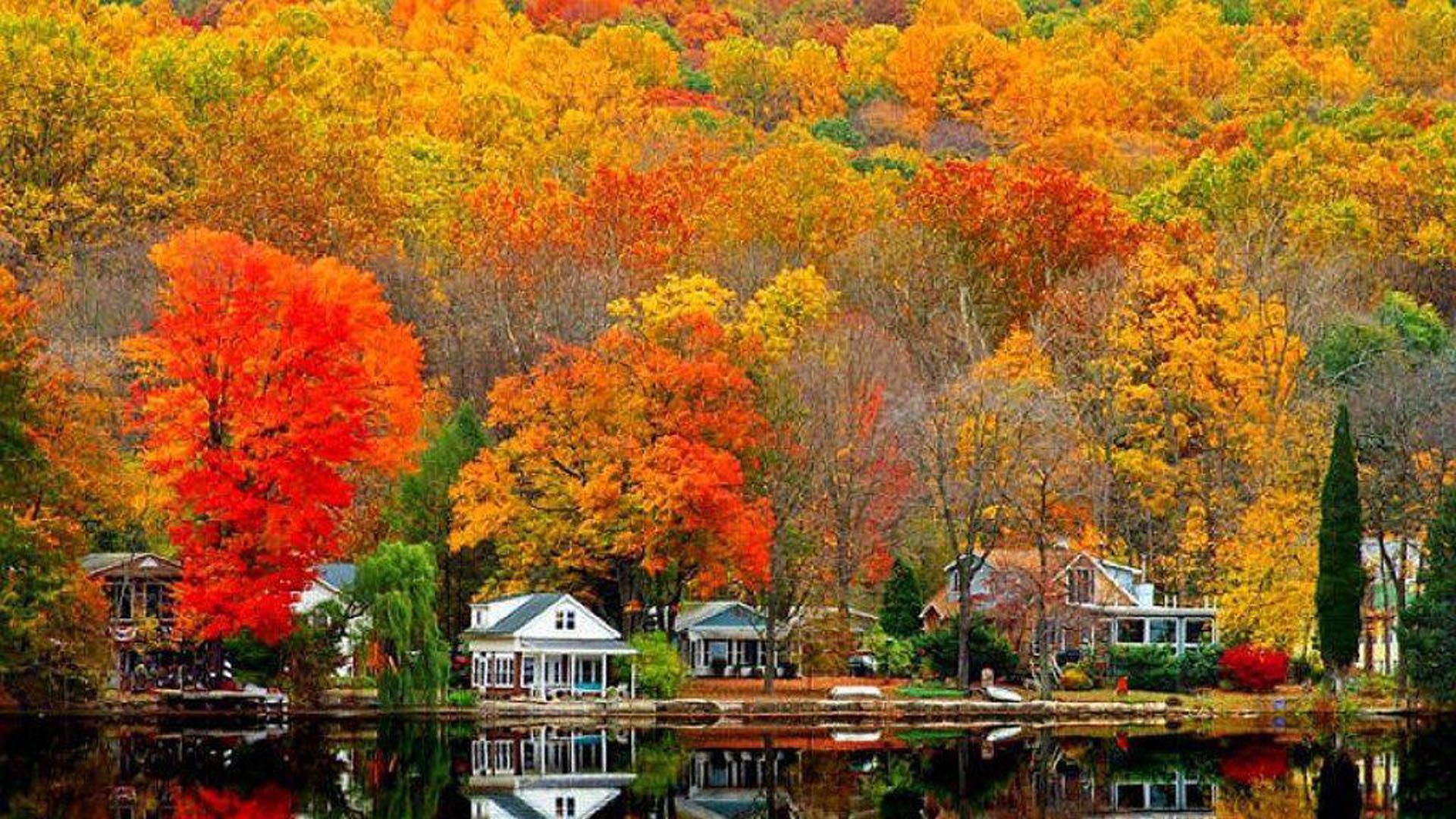 1920x1080 Colorful Autumn Fall Leafed Trees Houses Reflection On Water HD Autumn Desktop Wallpaper