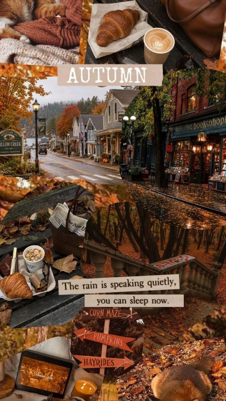 736x1308 Wallpaper Autumn Archives. Colour + Mood + Style Inspiration
