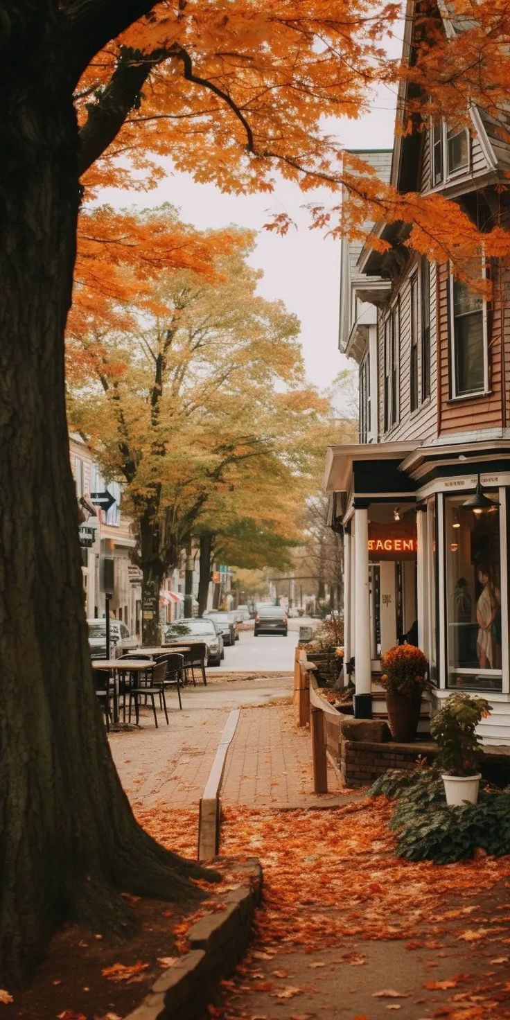 736x1472 Fall wallpaper HD. Fall aesthetic iphone, iPhone wallpaper fall autumn, Autumn scenery