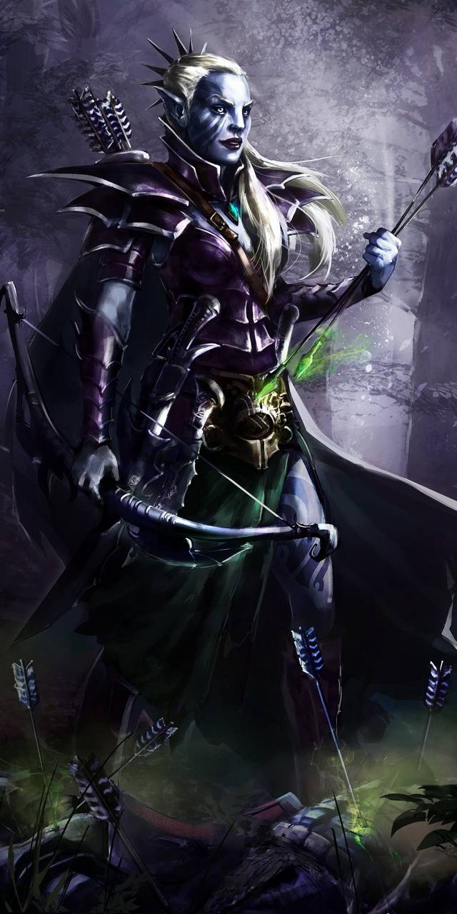640x1280 Elf Warrior wallpaper