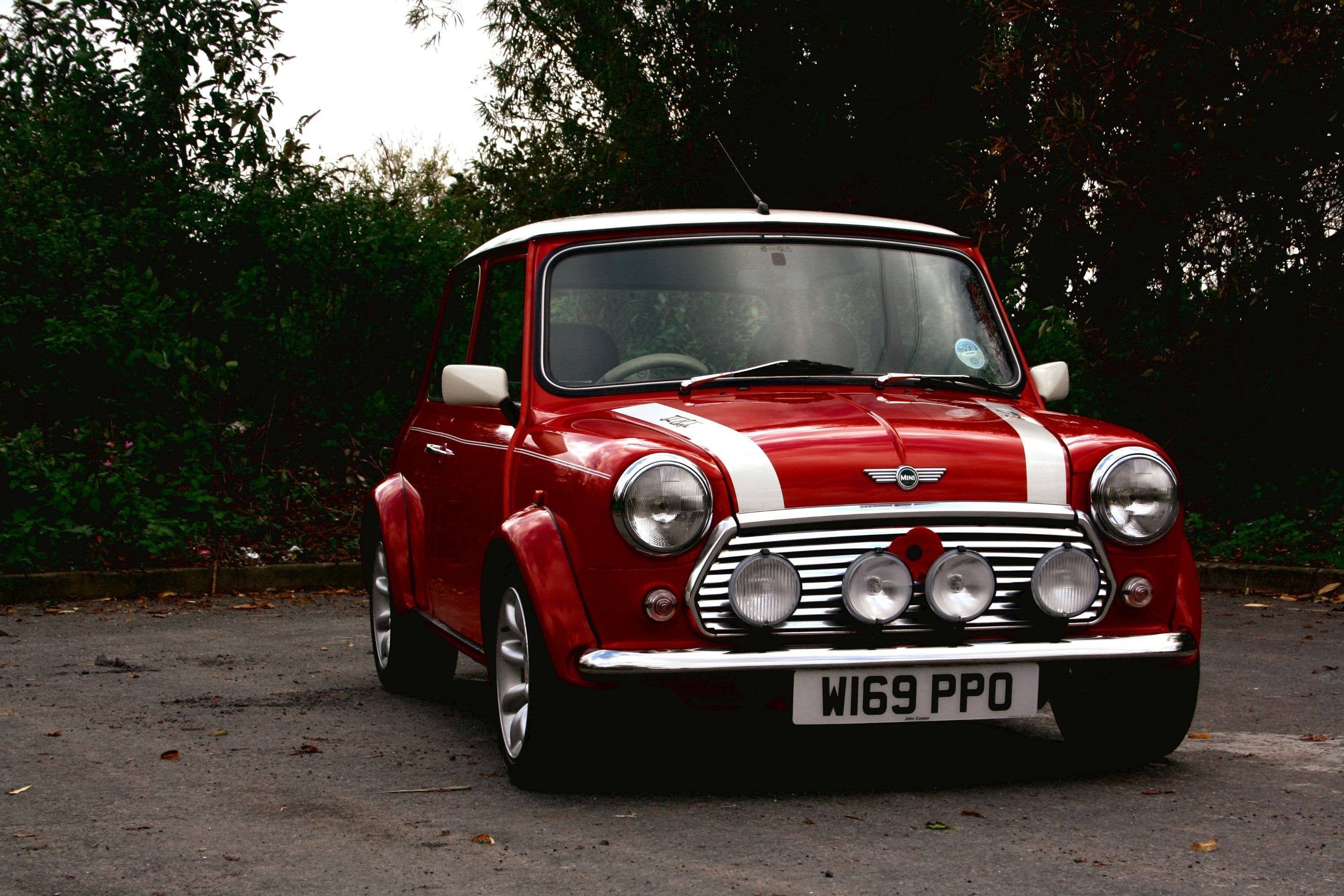 2916x1944 My Classic Mini Cooper looking shiny and pretty!
