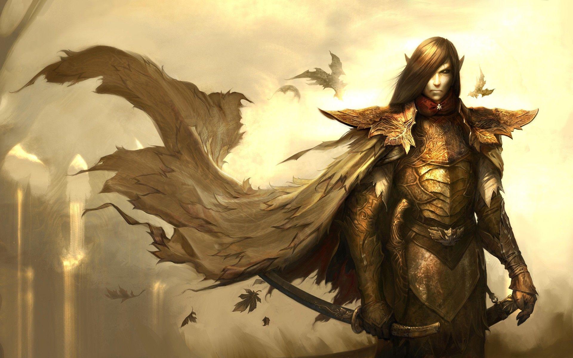 1920x1200 #elves, #warrior, #armor, #fantasy art, #artwork, #sword, wallpaper. Mocah HD Wallpaper