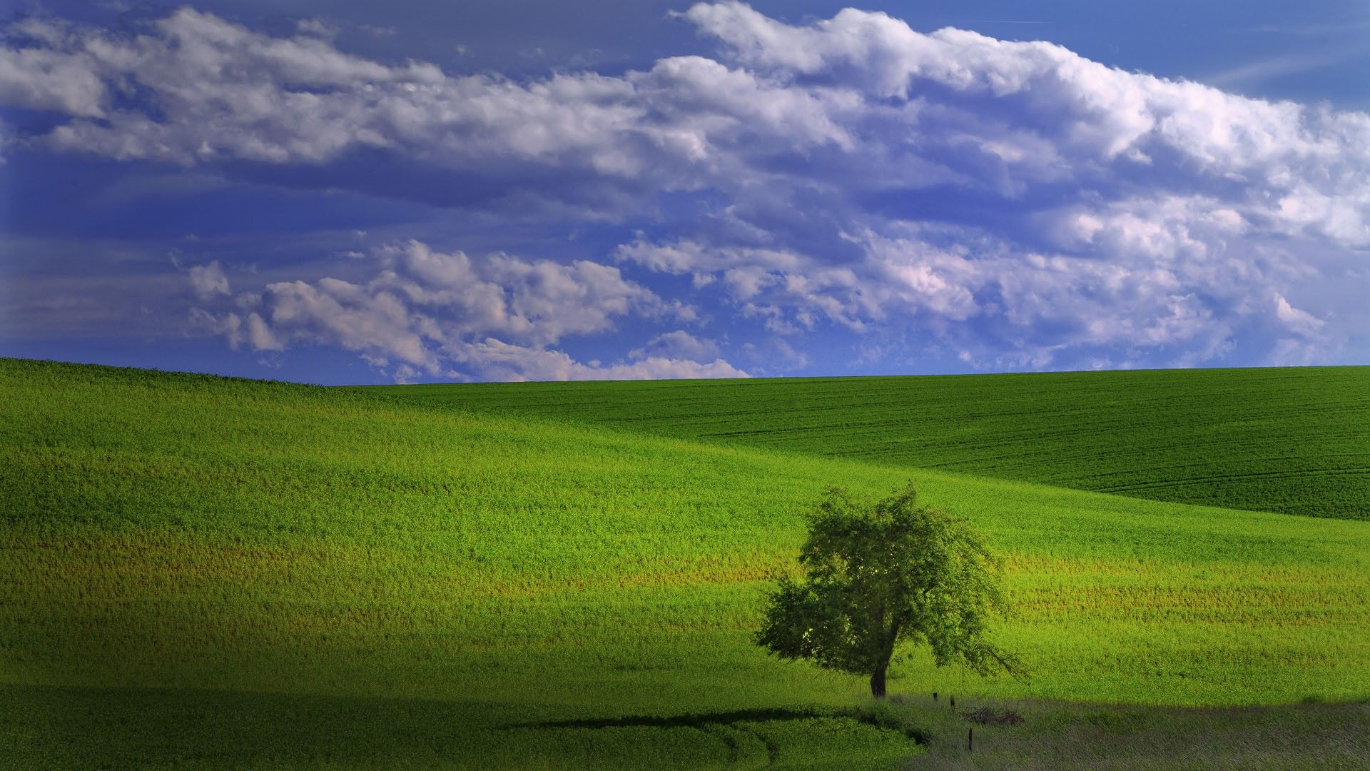 1920x1080 clouds, Landscapes, Trees, Grass, Fields Wallpaper HD / Desktop and Mobile Background