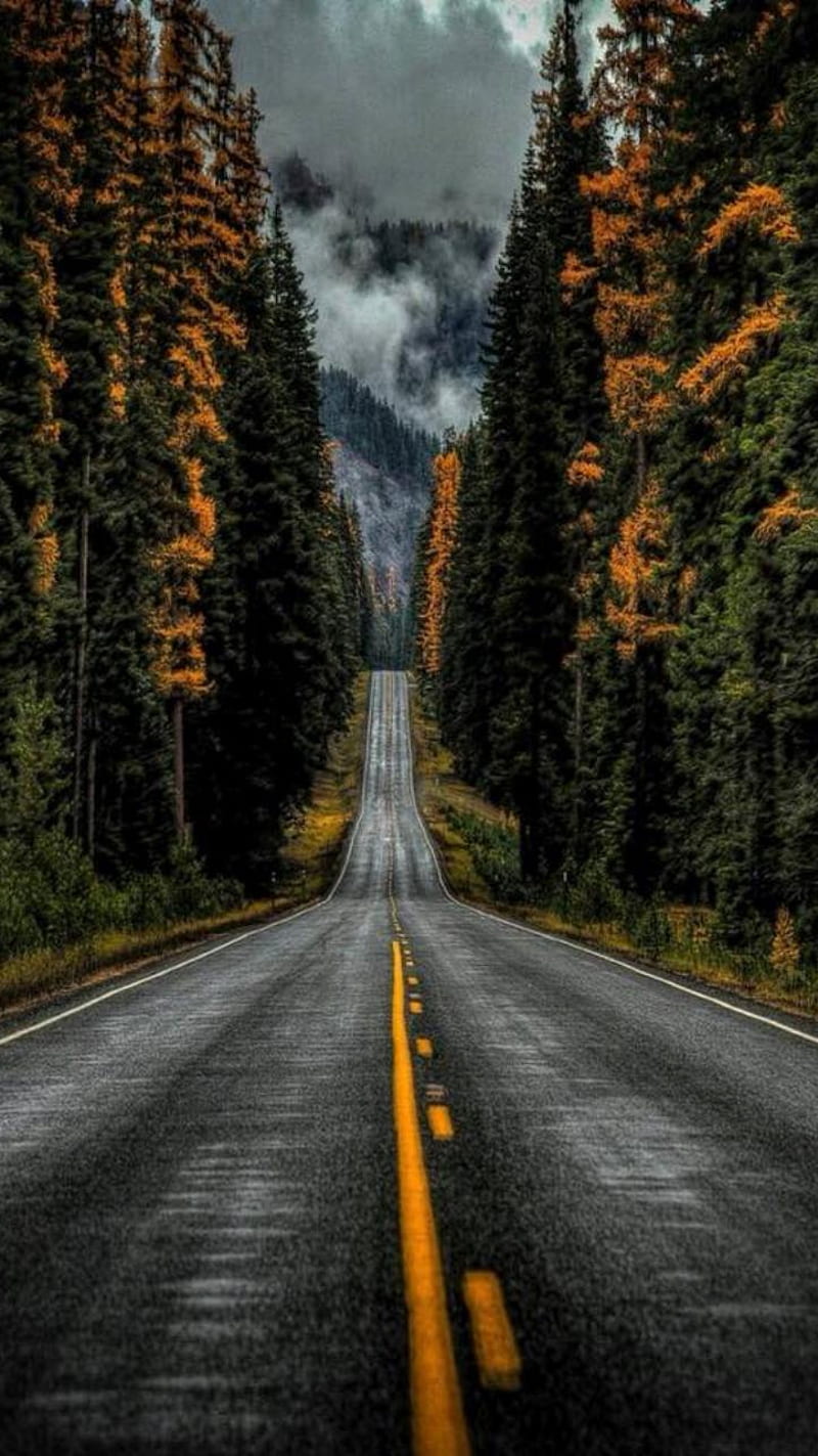 800x1423 Road, autumn, black, mountain, trees, HD phone wallpaper