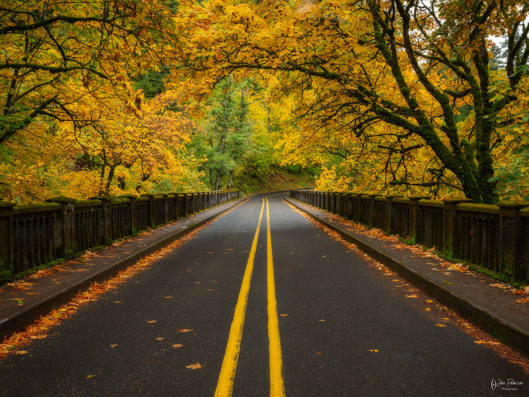 1800x1350 Fall Color Pedersen Photography