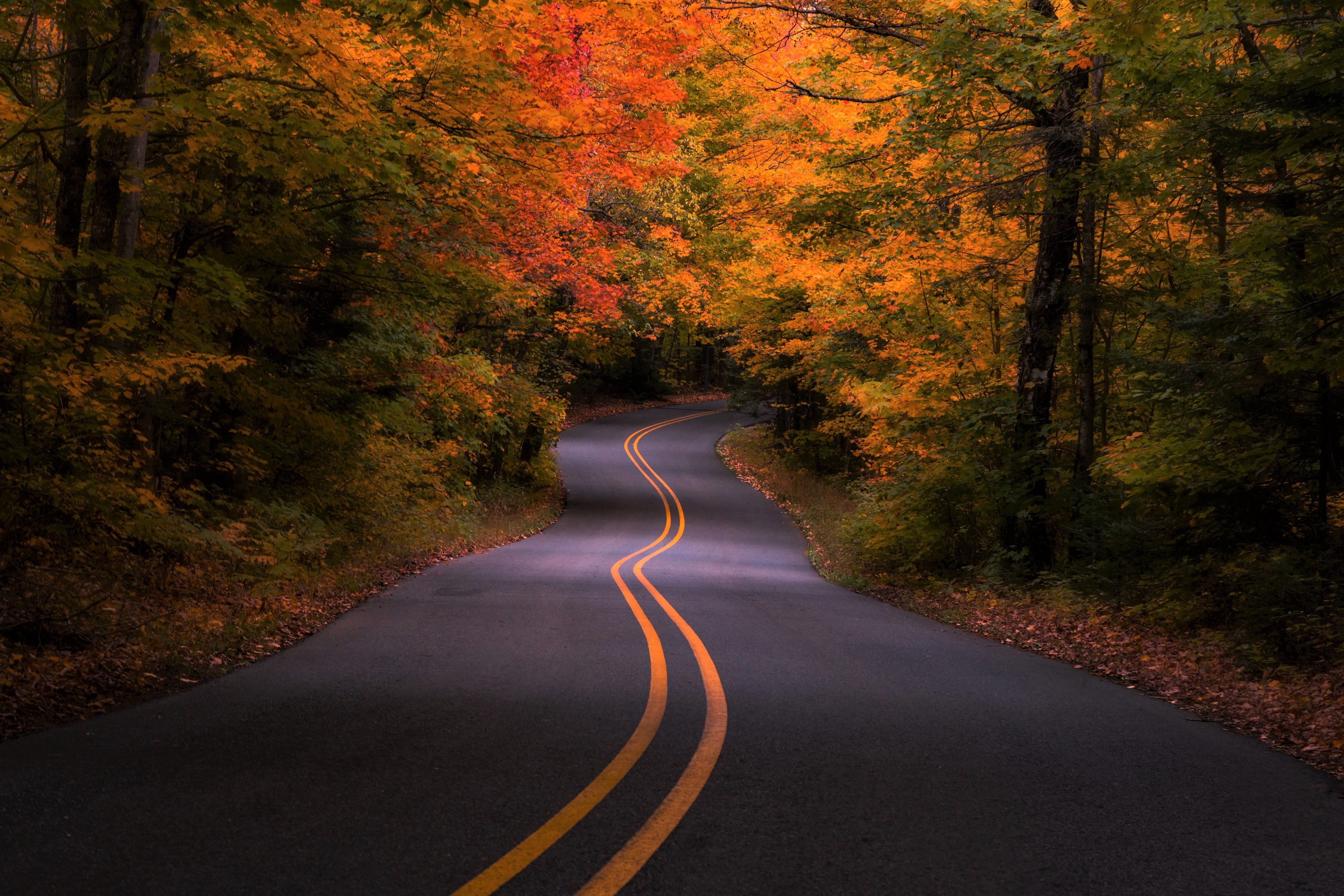 3750x2500 Phone wallpaper: Forest, Fall, Road, Man Made, Colors 872635
