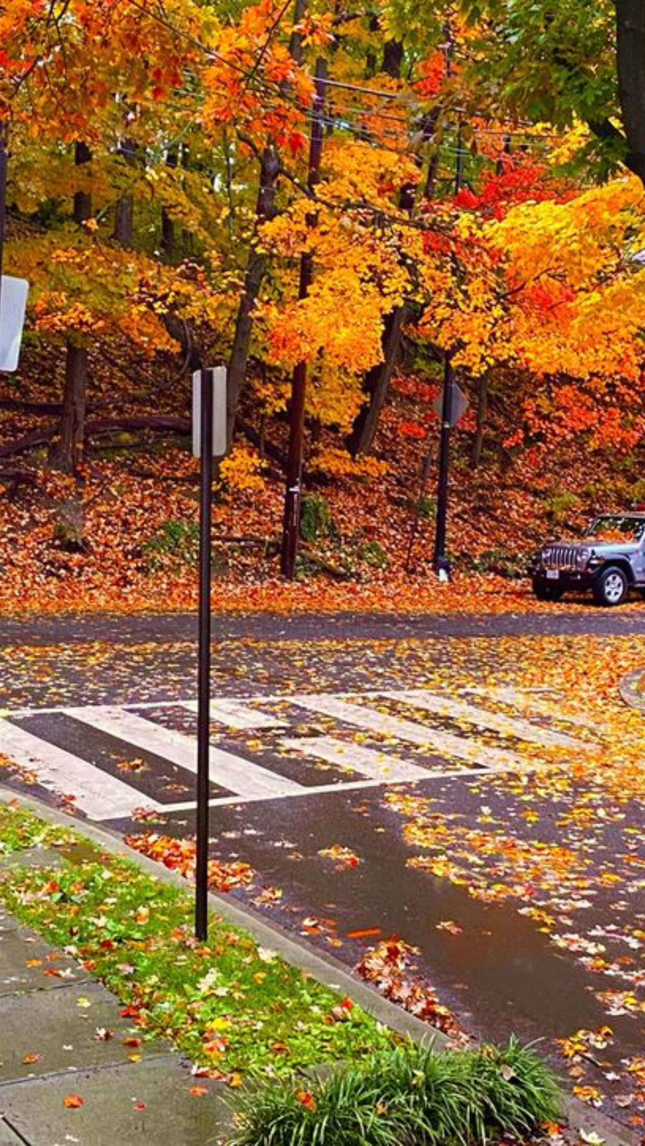 2160x3840 Download Autumn Street Scene_ Grunge Wallpaper