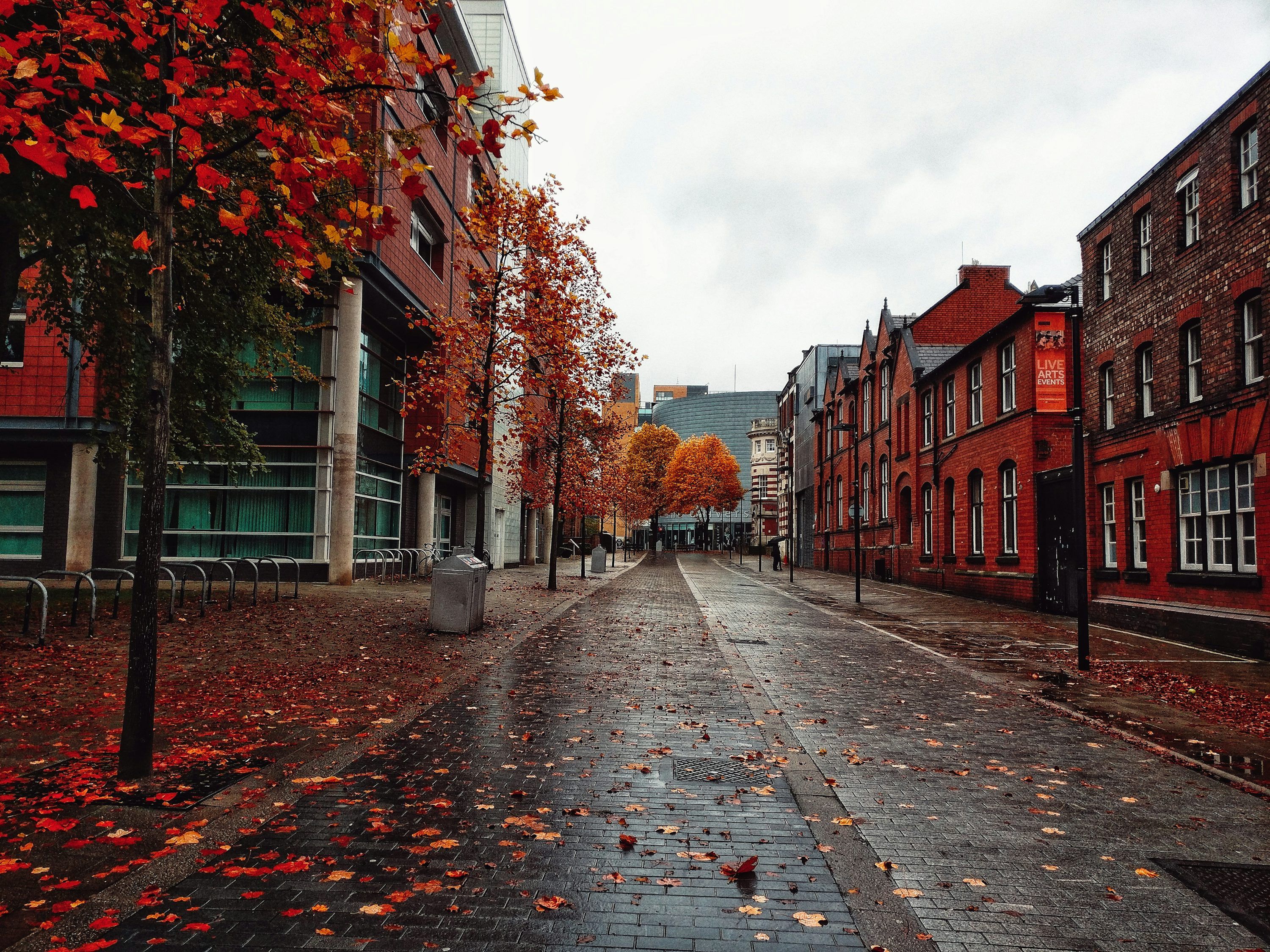 3000x2250 Fall Street Picture. Download Free Image