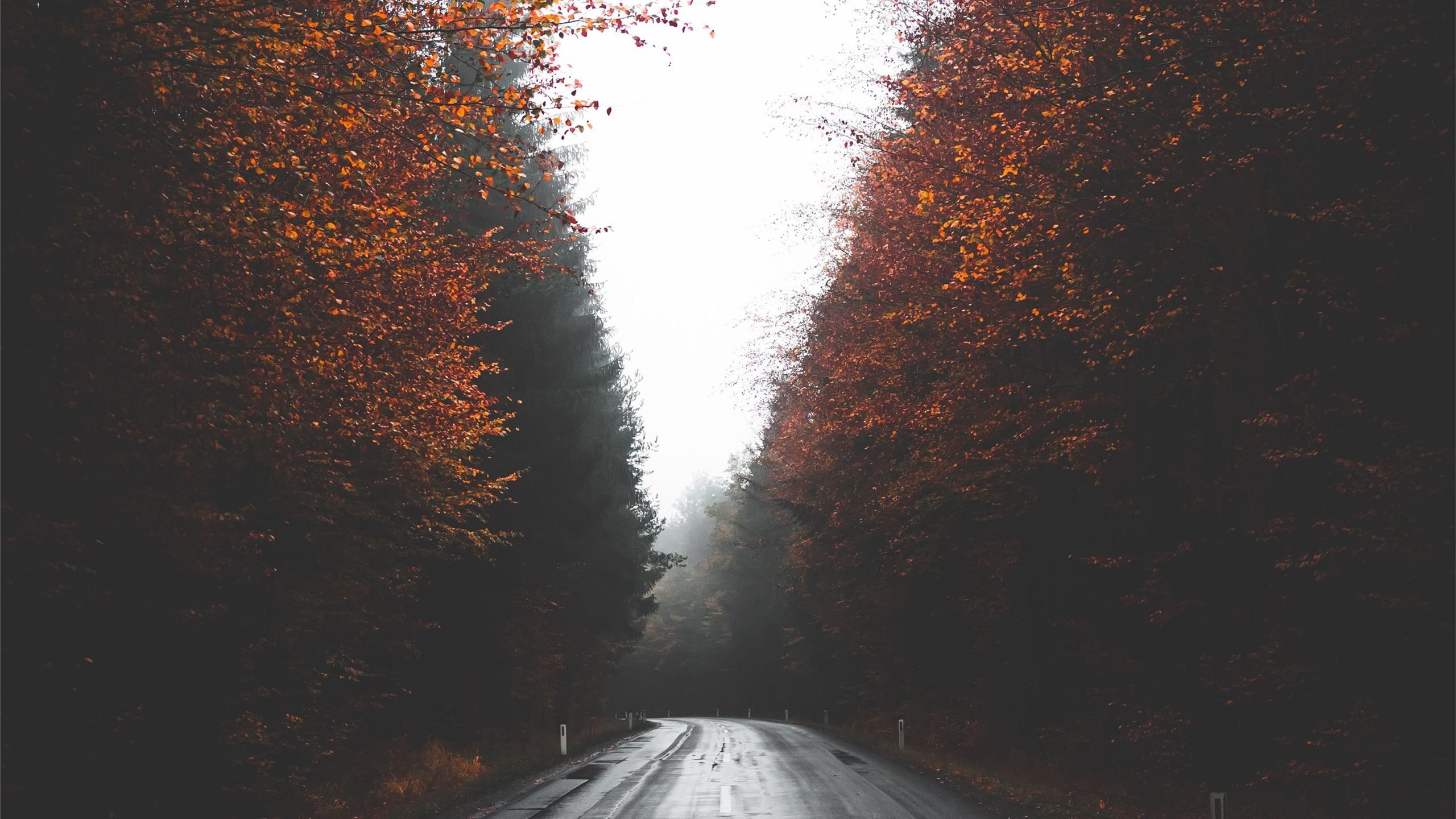 2560x1440 Autumn street in Austria MacBook Pro Wallpaper Download