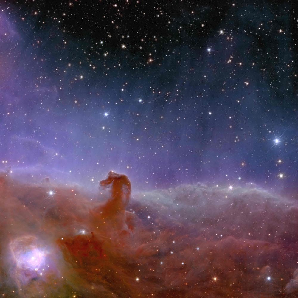 1000x1000 The ESA's Euclid Space Telescope Gives Glimpses of its Deep Field