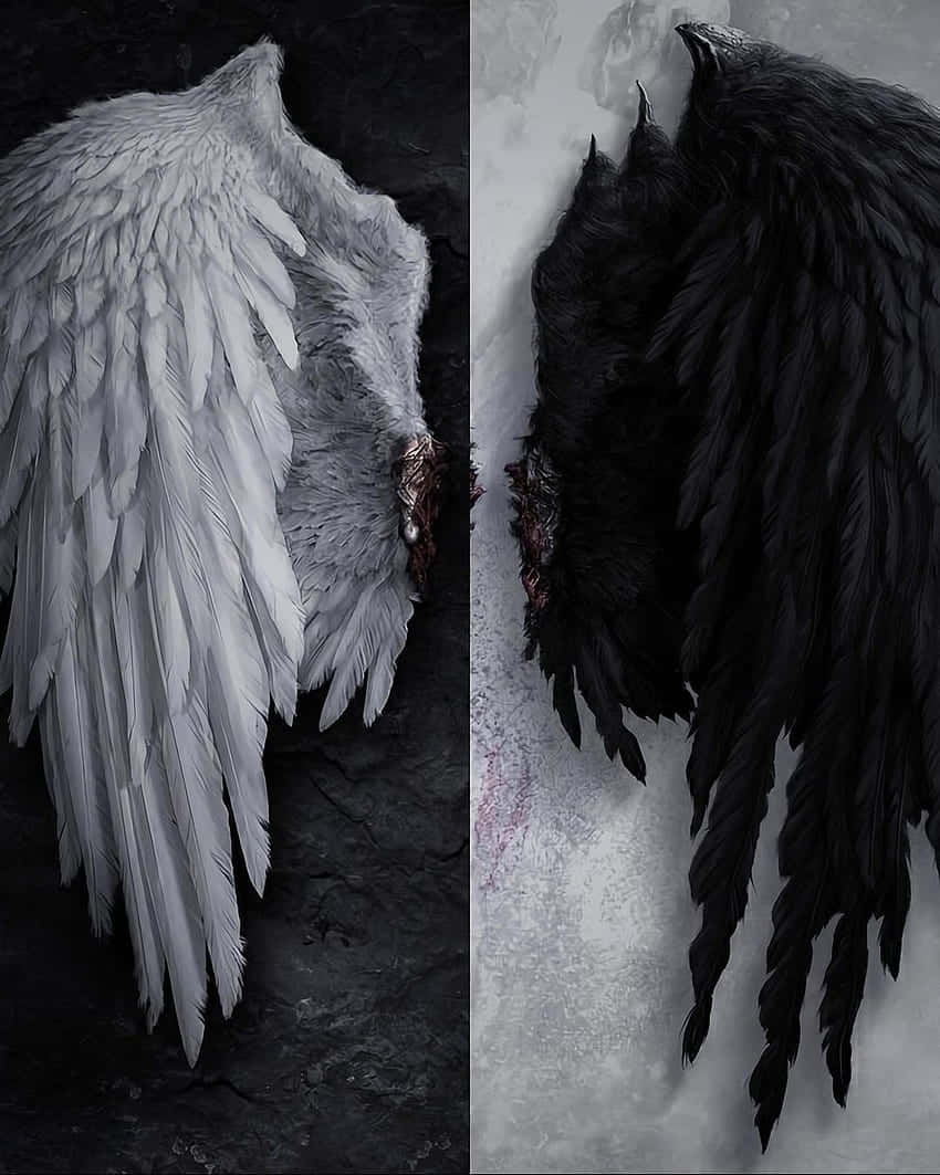 850x1063 Download Angel Demon Wings Duality Wallpaper