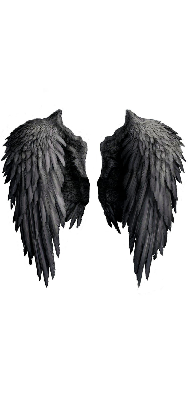 800x1778 Devil Wings, blackwings, devilwings, HD phone wallpaper
