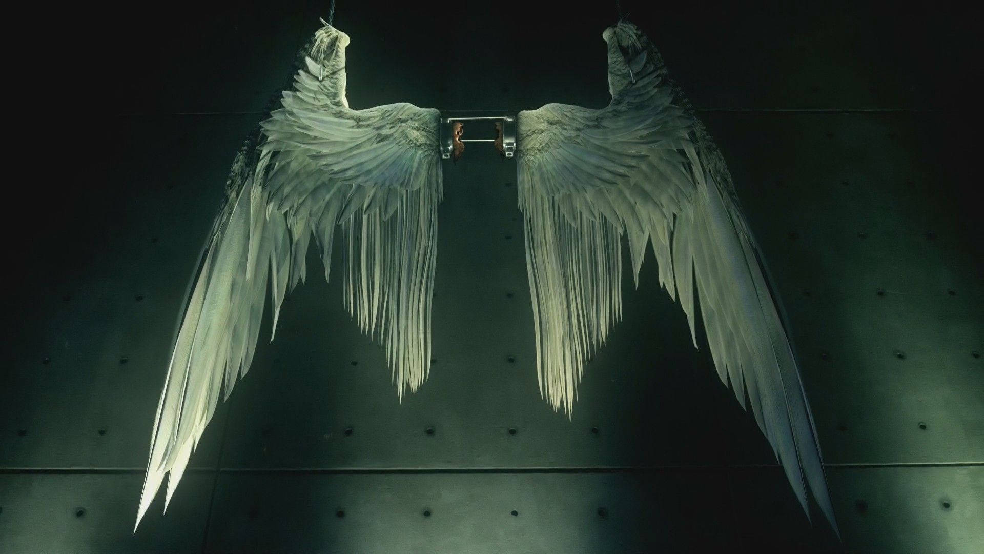 1920x1080 Download Wings Of Lucifer Devil Wallpaper