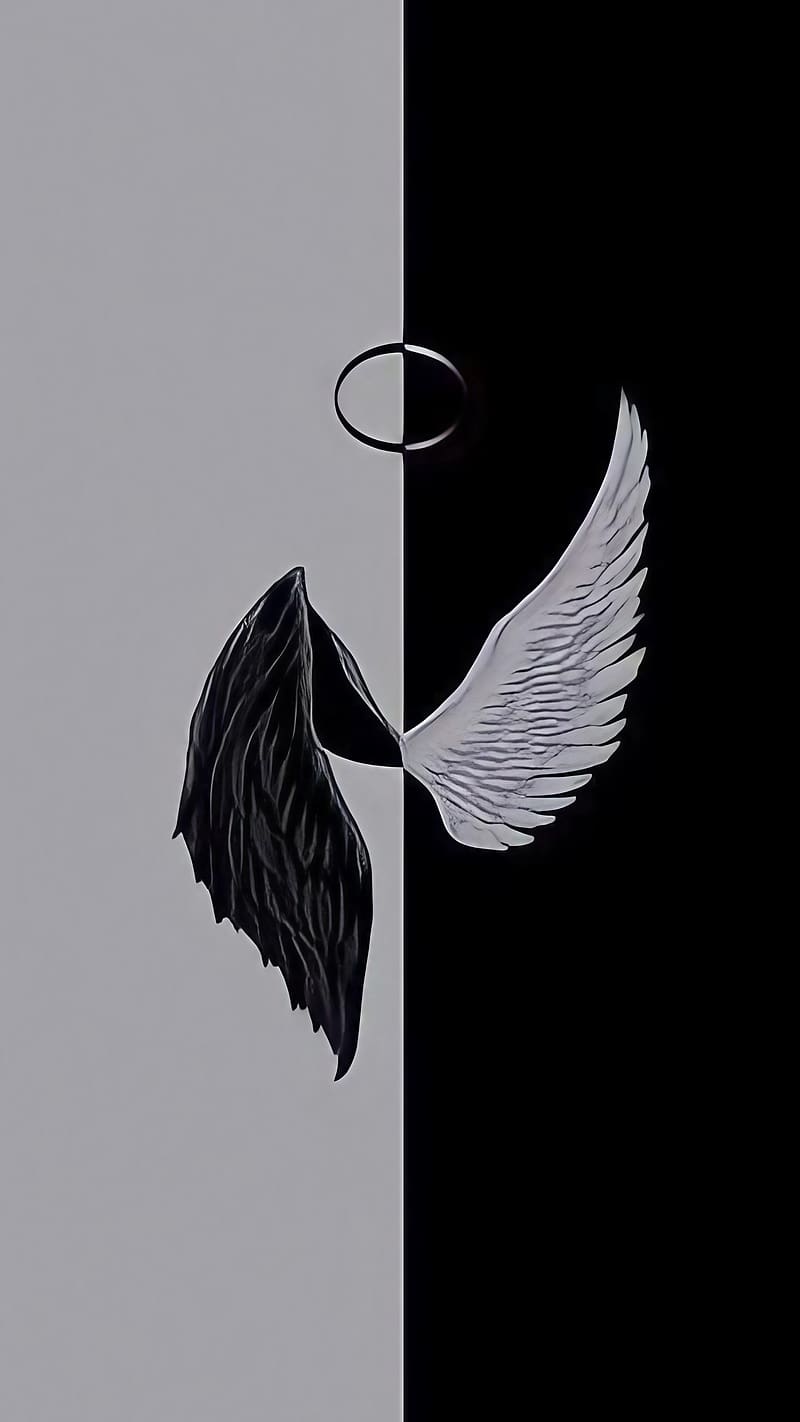 800x1422 Black And White Aesthetic, Angel And Devil Wings, HD phone wallpaper