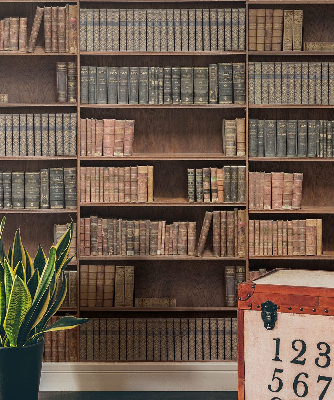 1100x1318 Bookshelf Wallpaper • Realistic Library Design