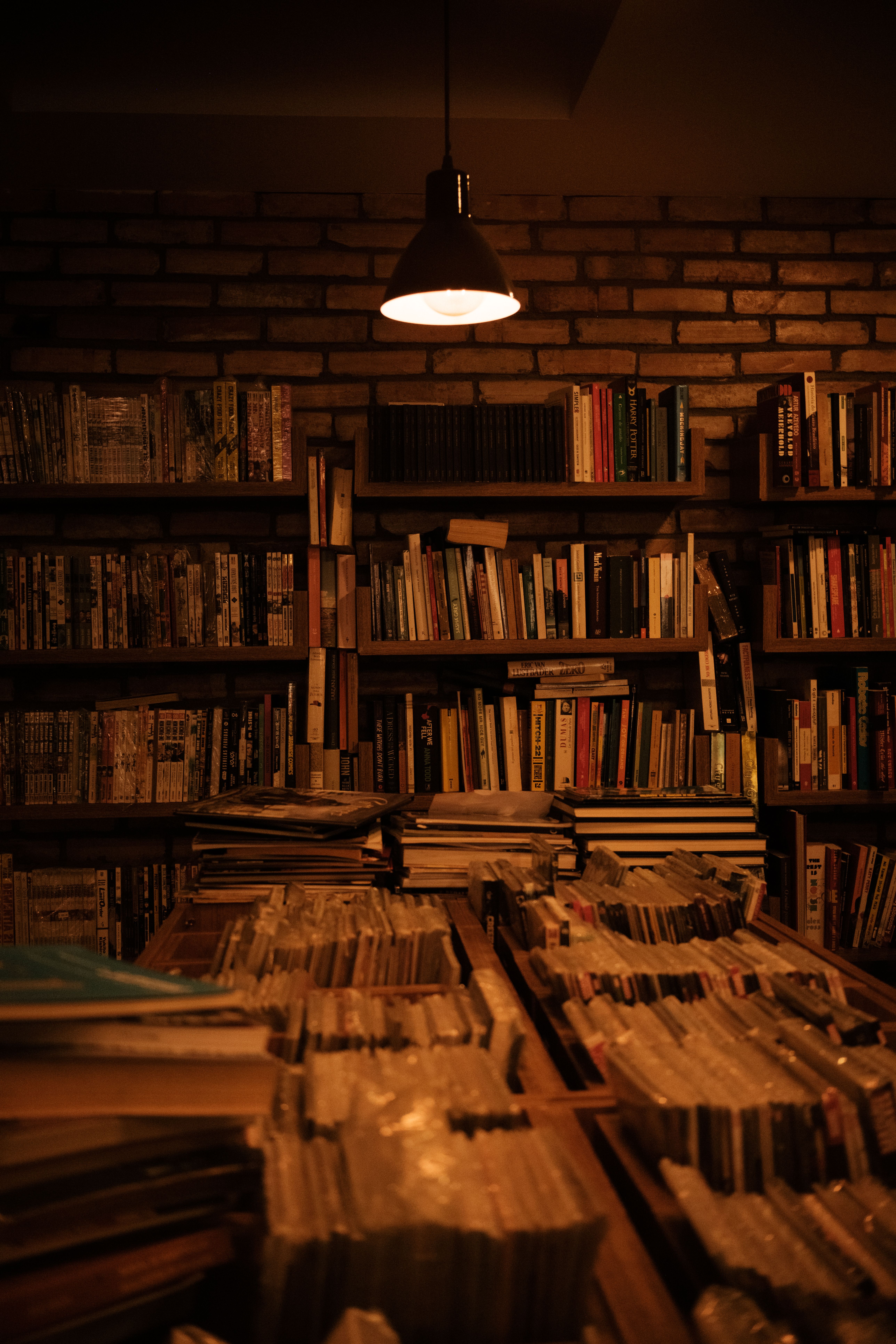 5152x7728 Light Bulb Beside Books on Shelf · Free