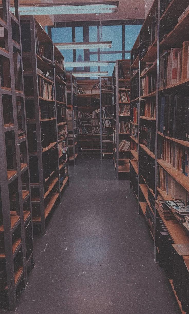 736x1221 Cozy Aesthetic Library Wallpaper. Kitap duvar, Kitap tablo, Kitap kurtları