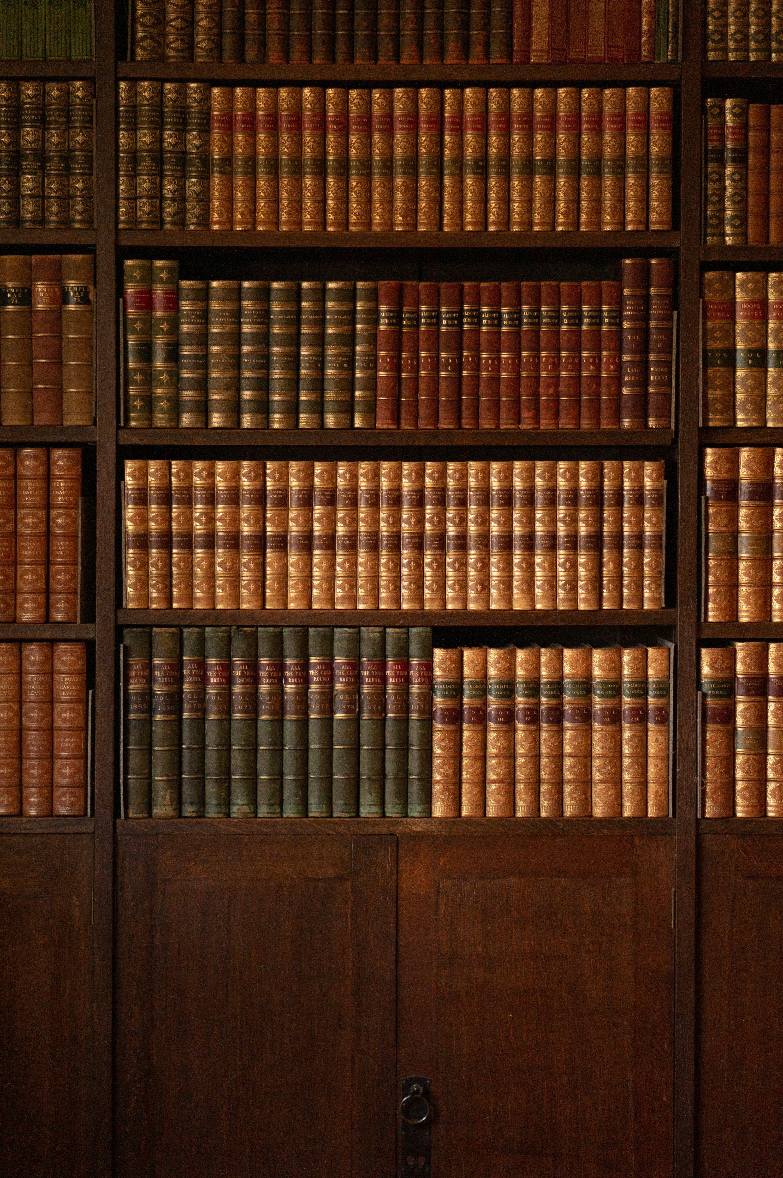 3000x4515 Library Shelves Picture. Download Free Image
