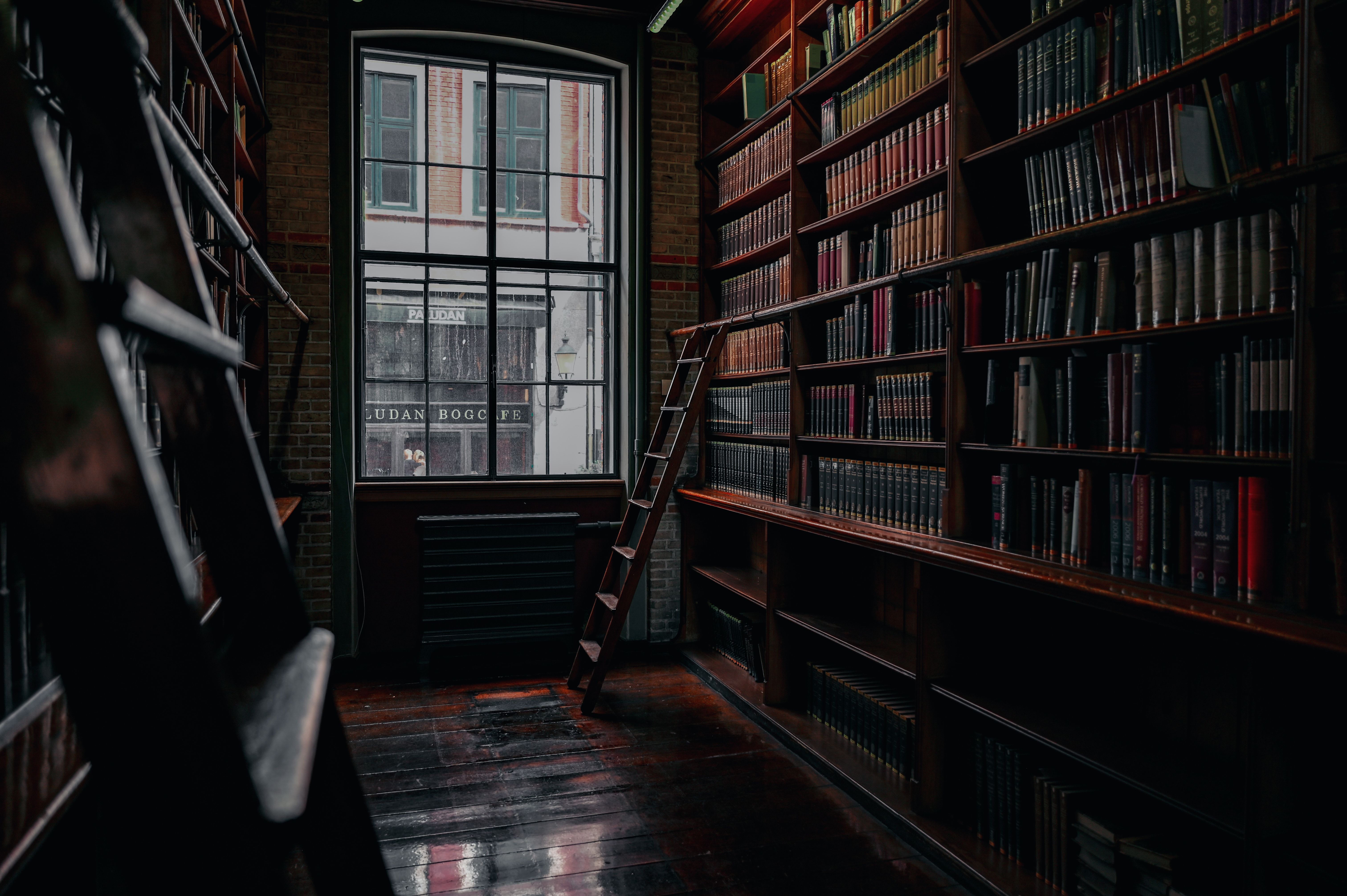 6048x4024 Books on Wooden Bookcase · Free