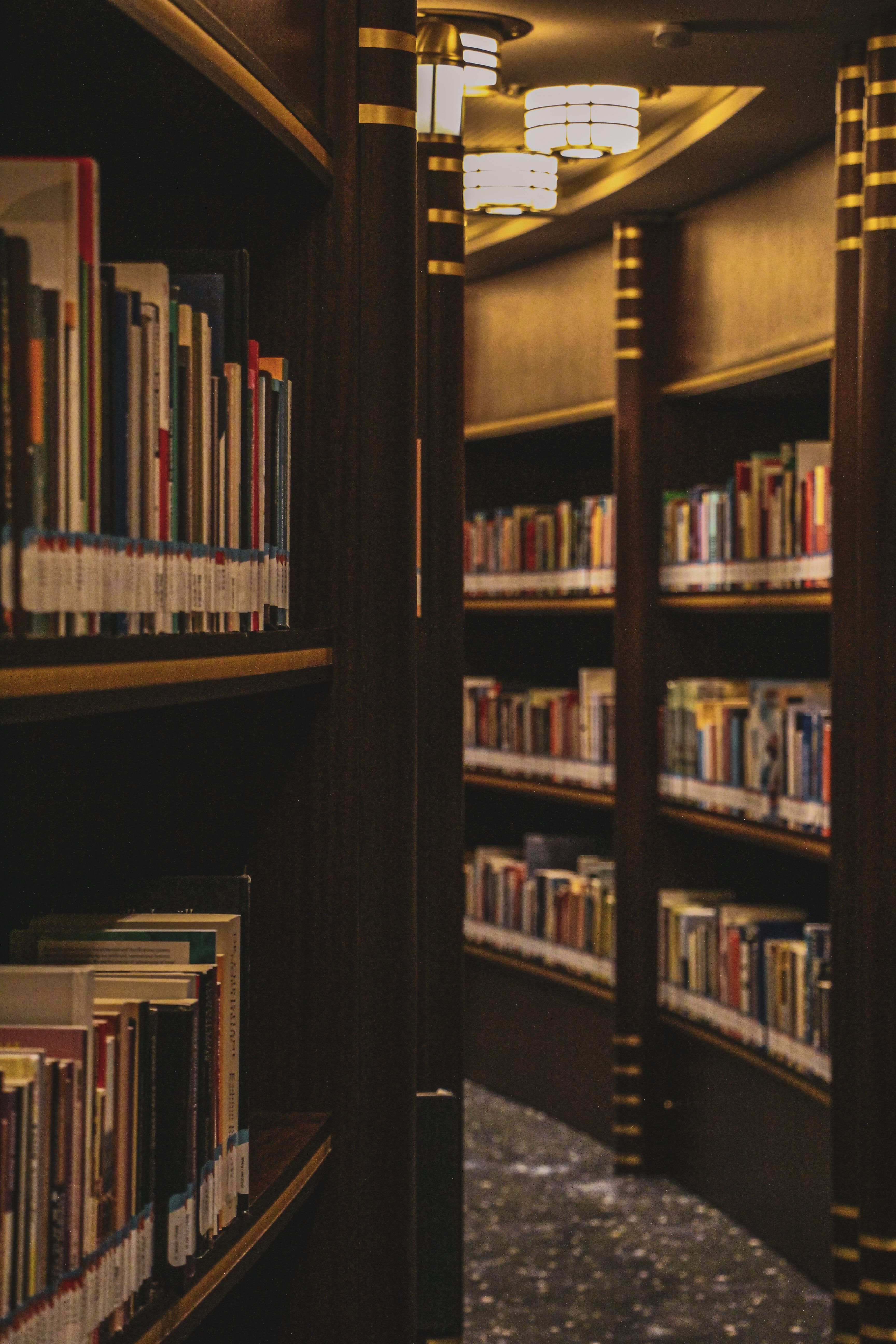 3456x5184 Books on Bookshelves · Free