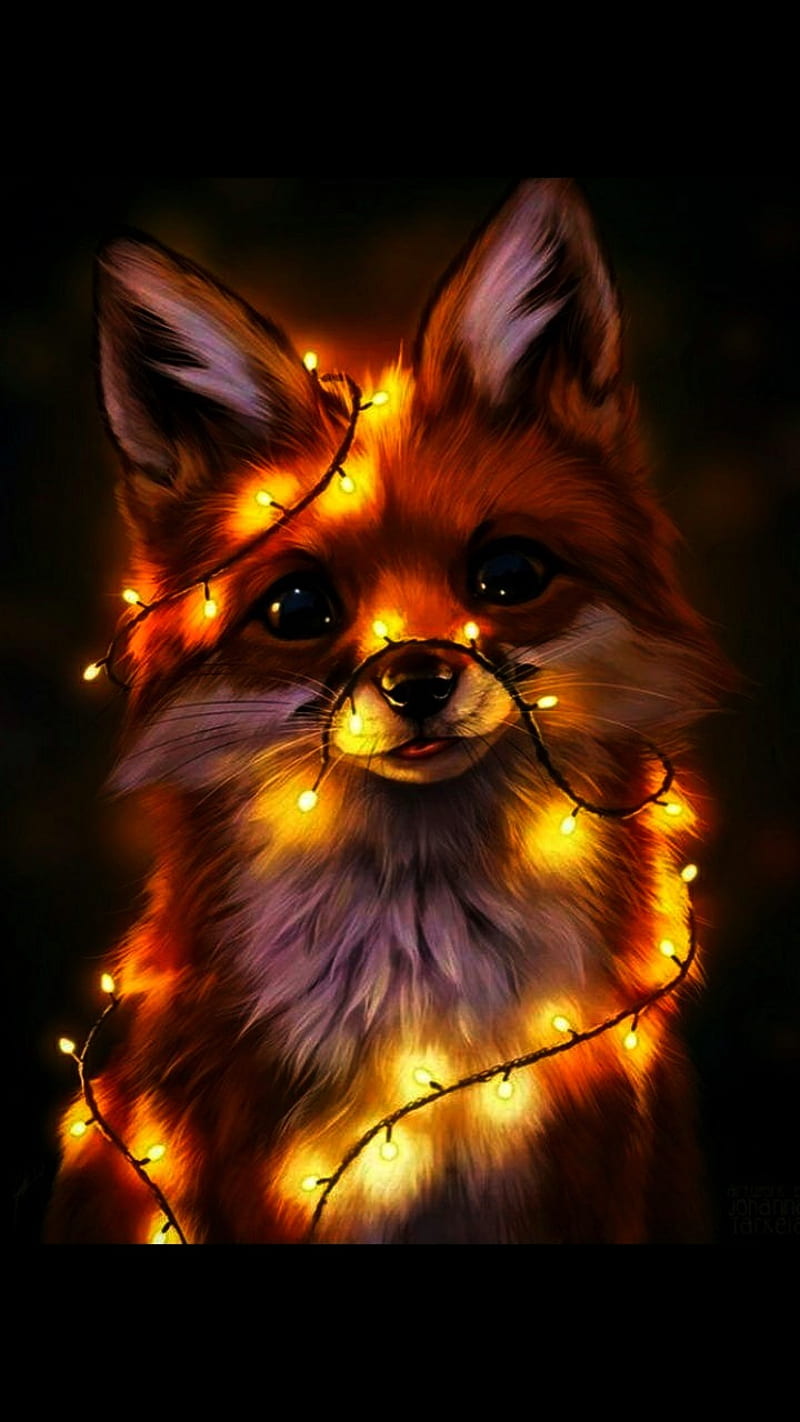 800x1422 Fox light, cute, night, HD phone wallpaper