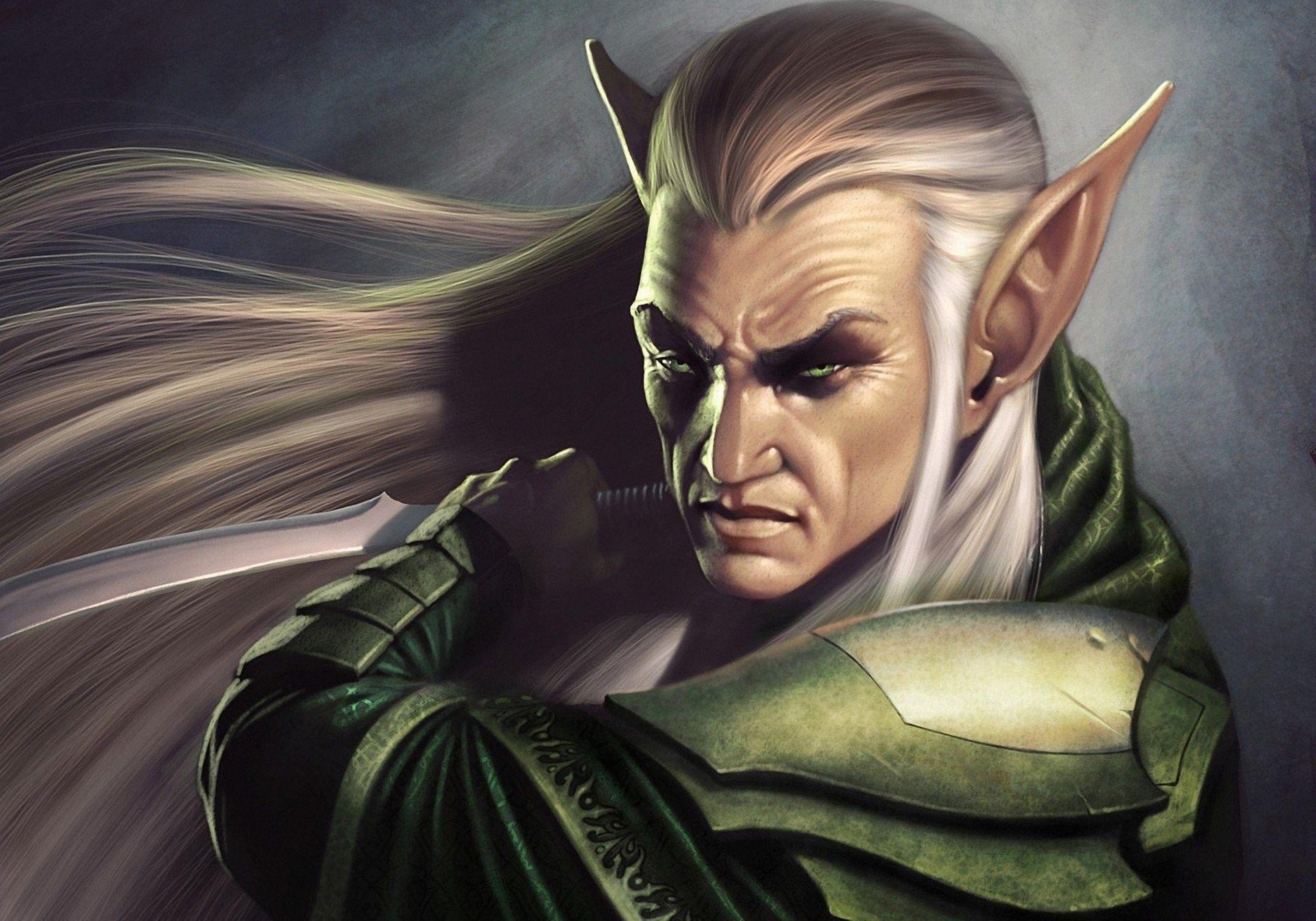 1920x1343 Male Elf Wallpaper. Male elf, Elf warrior, Elves fantasy